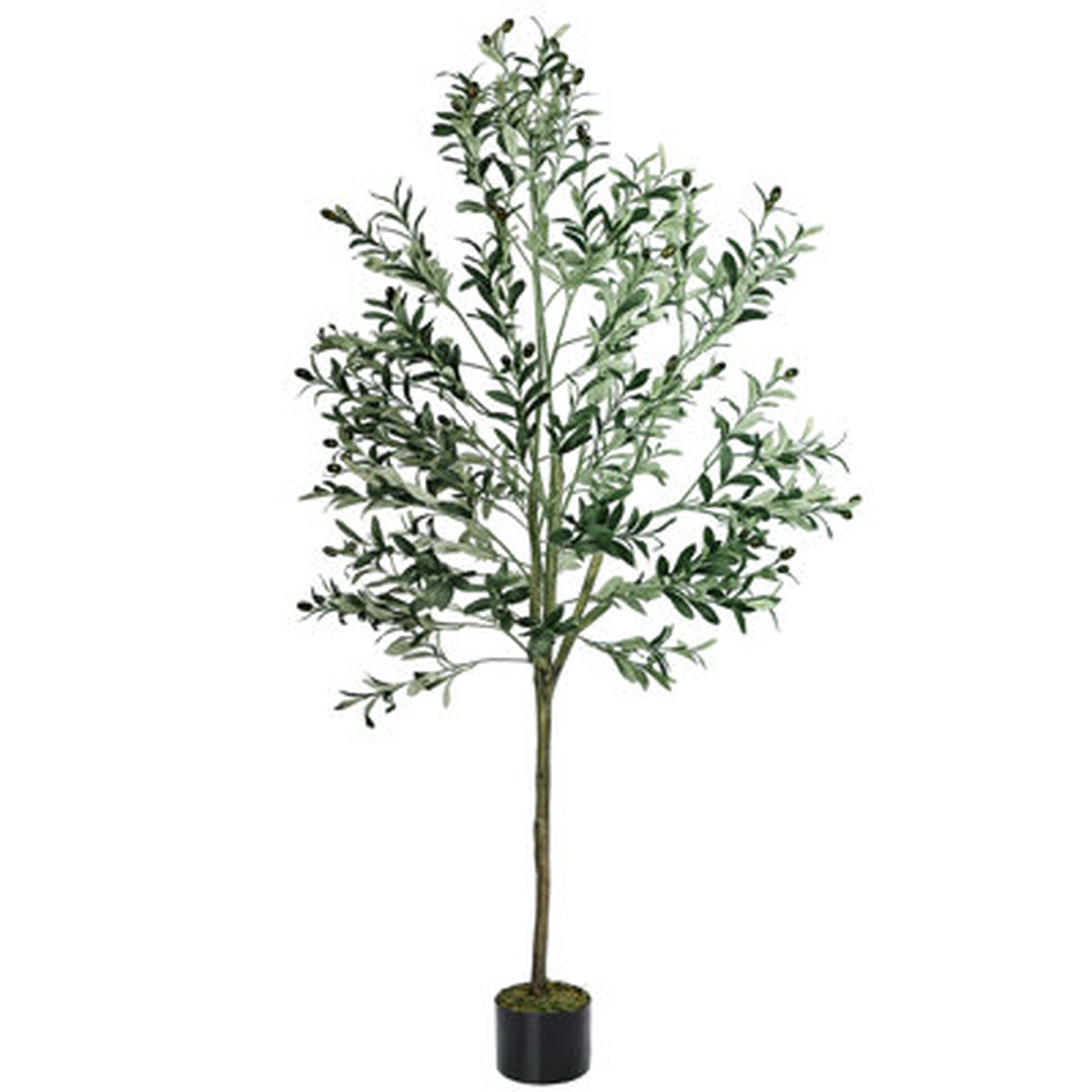 72" Artificial Olive Tree In Pot - Wayfair