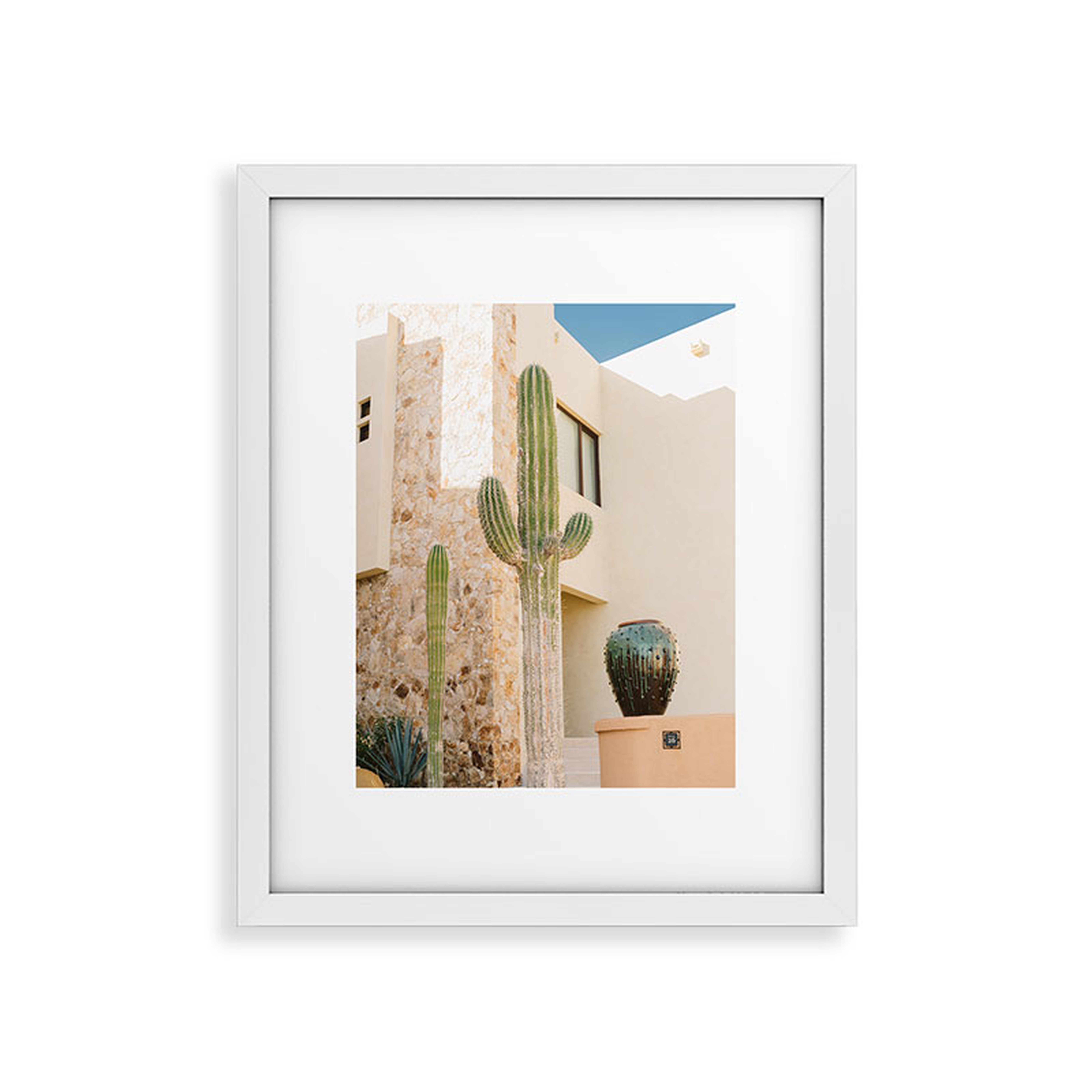 Cabo Cactus Vii by Bethany Young Photography - Modern Framed Art Print, White, 16" x 20" - Roam Common