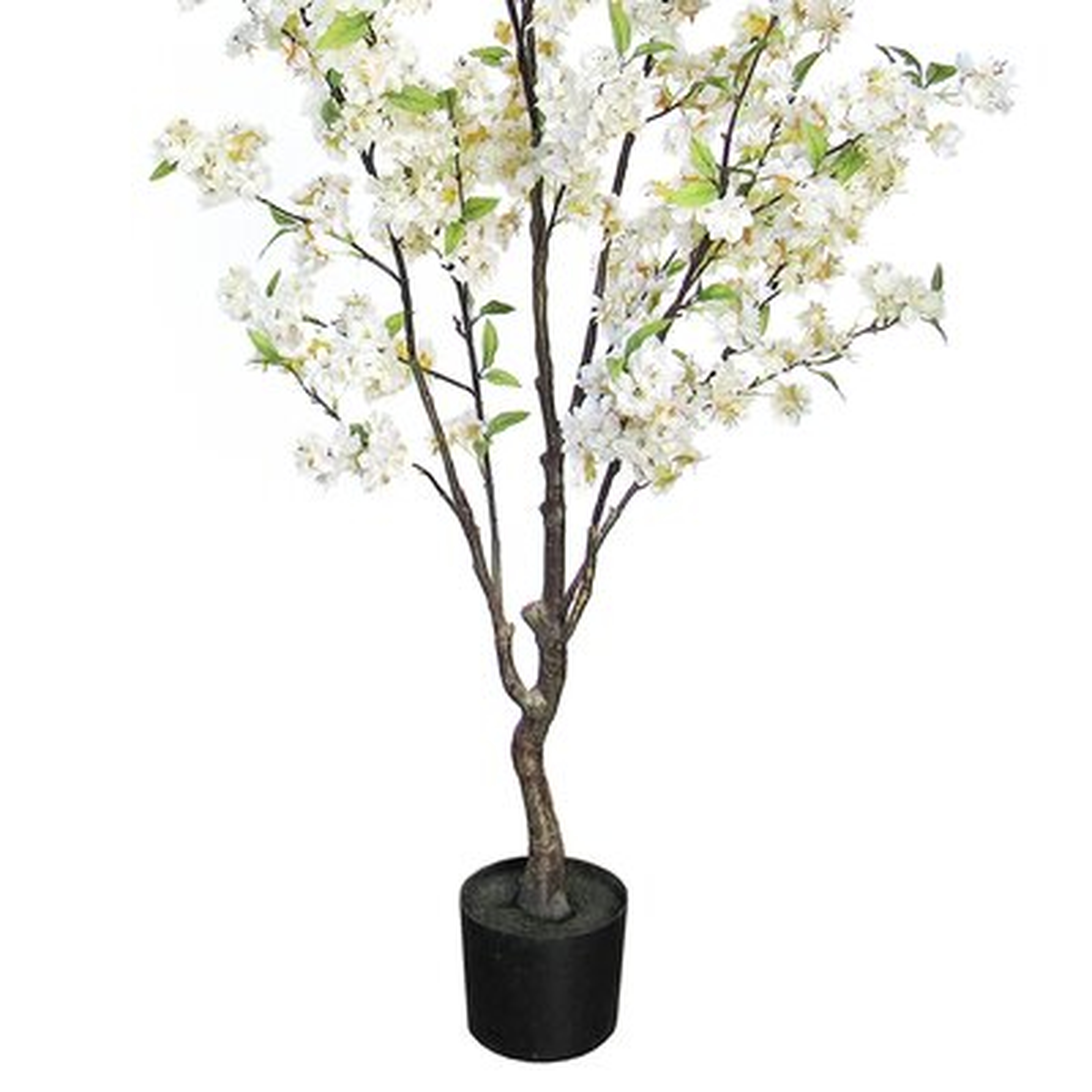 4.5Ft Cherry Blossom Flower Tree In Pot - Wayfair