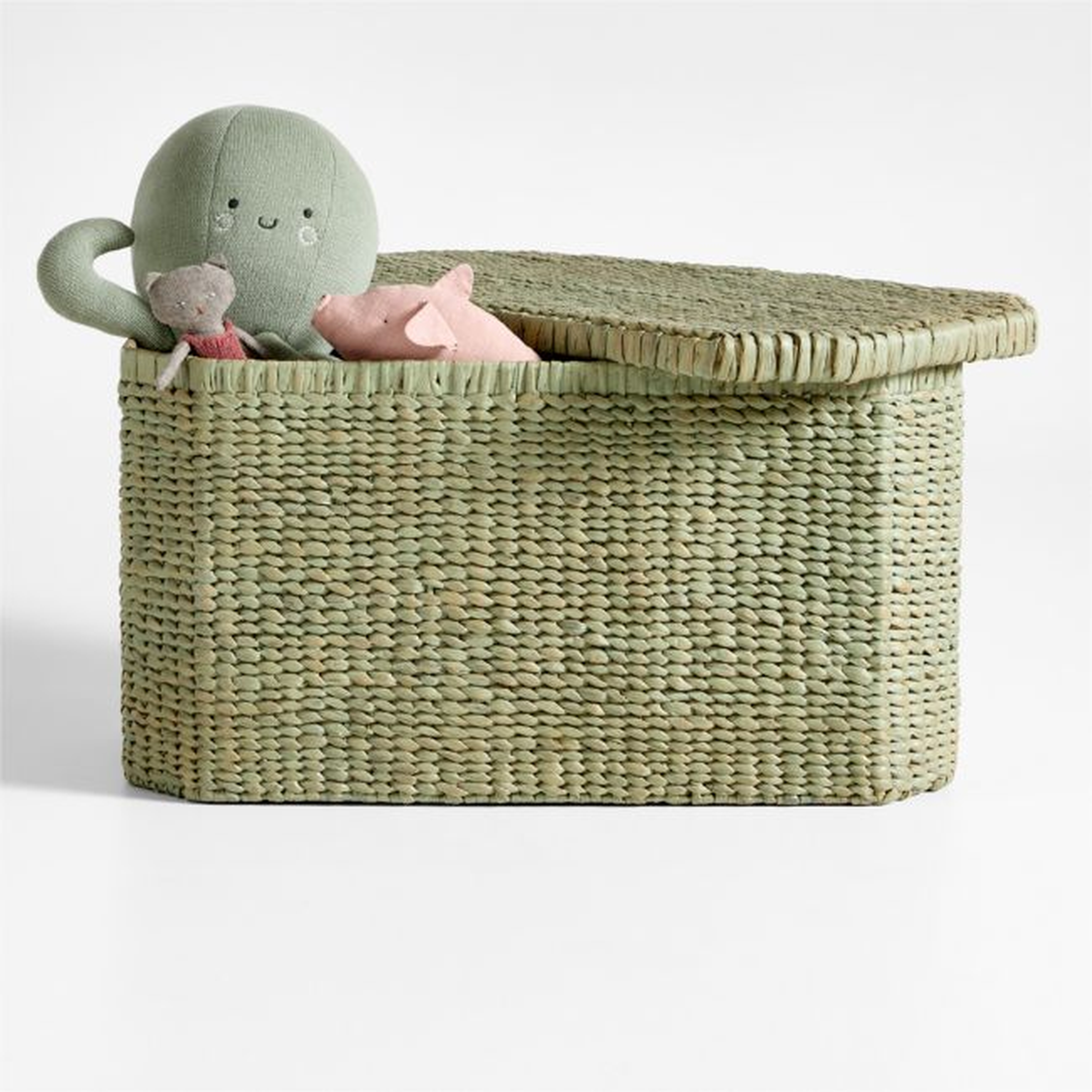 Rudy Rattan Sage Green Kids Toy Bin by Jake Arnold - Crate & Kids