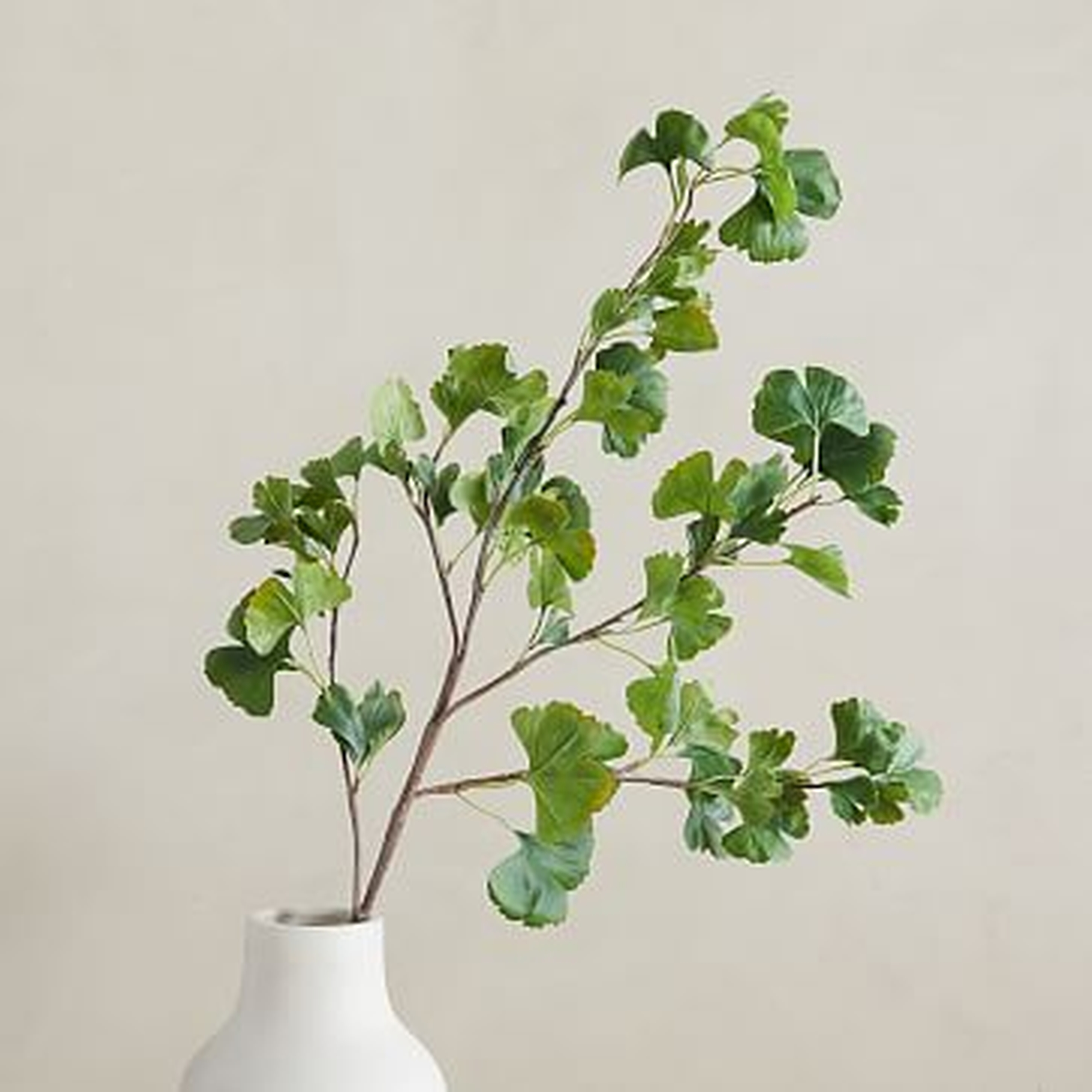 Faux Gingko Branch, Green, 48" - West Elm
