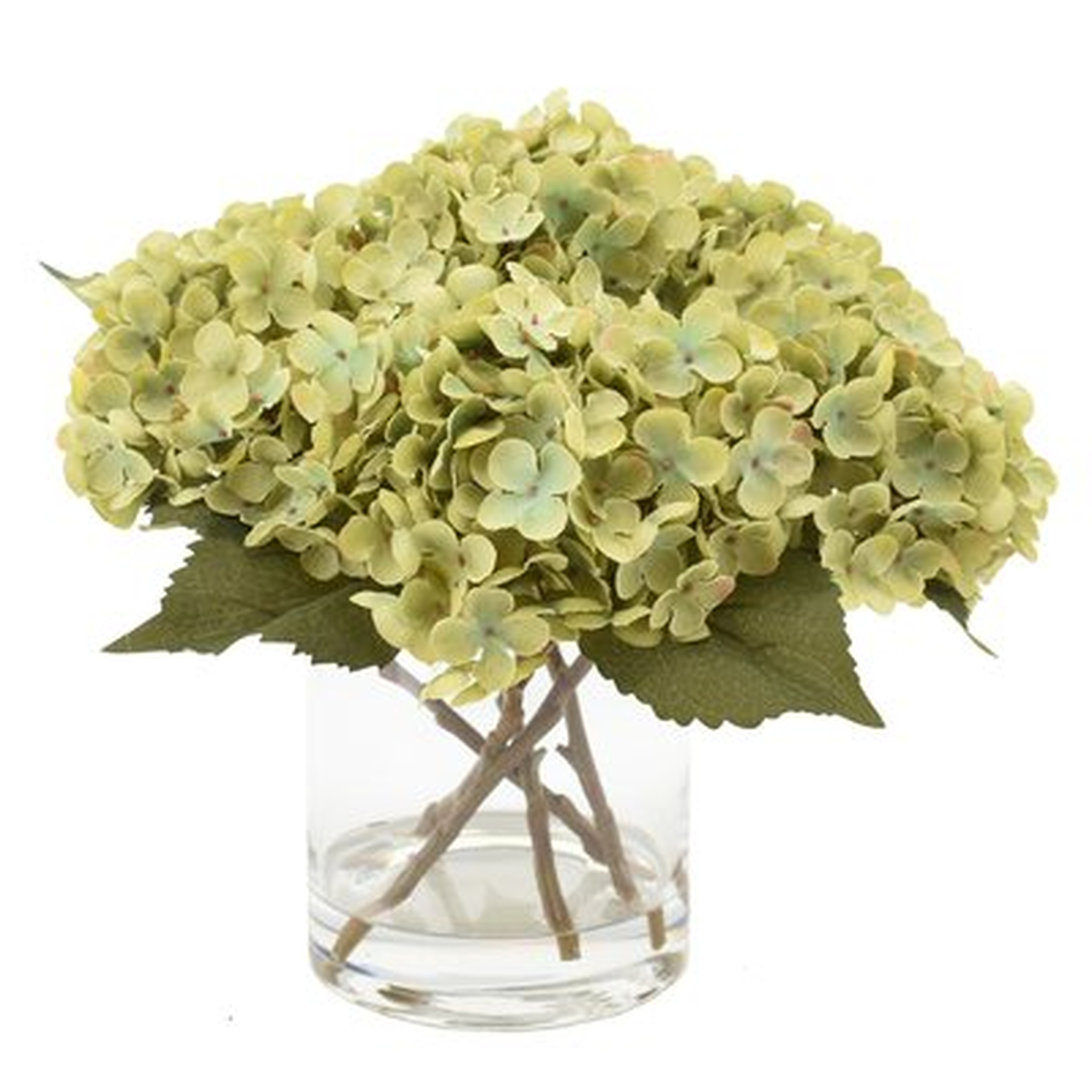 Hydrangea - Wayfair