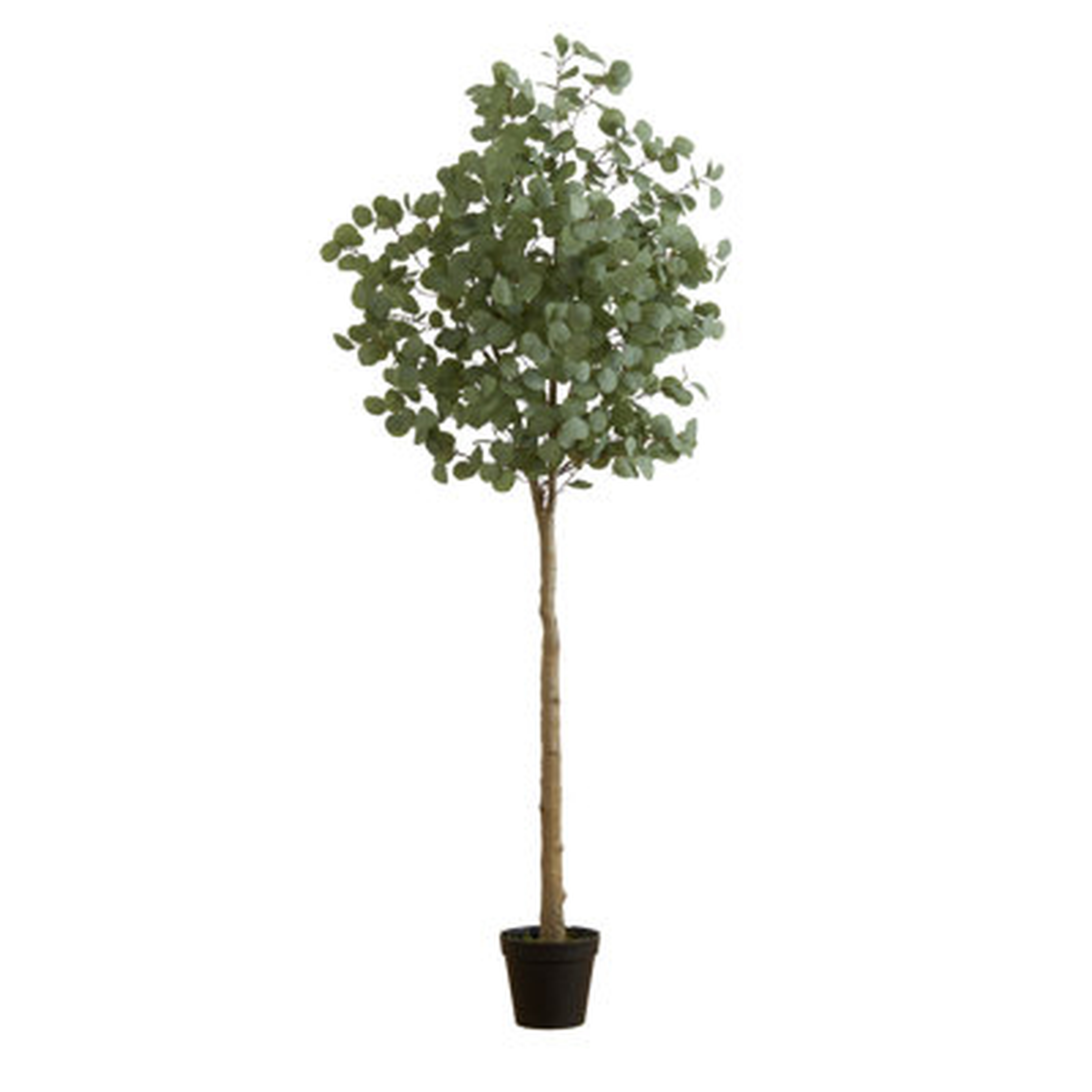 84'' Faux Eucalyptus Tree in Pot - Wayfair