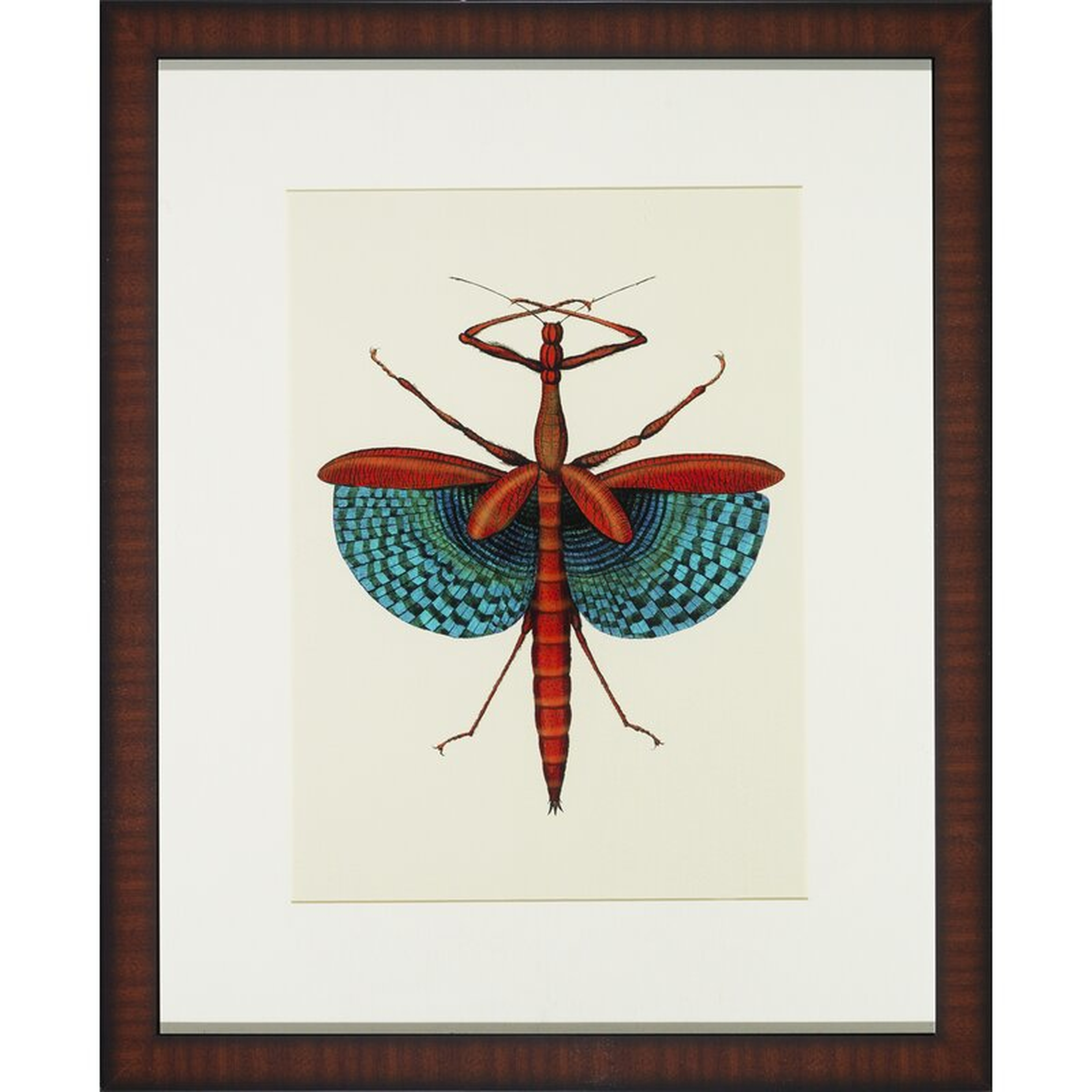Wendover Art Group Tropical Insect III - Picture Frame Graphic Art - Perigold