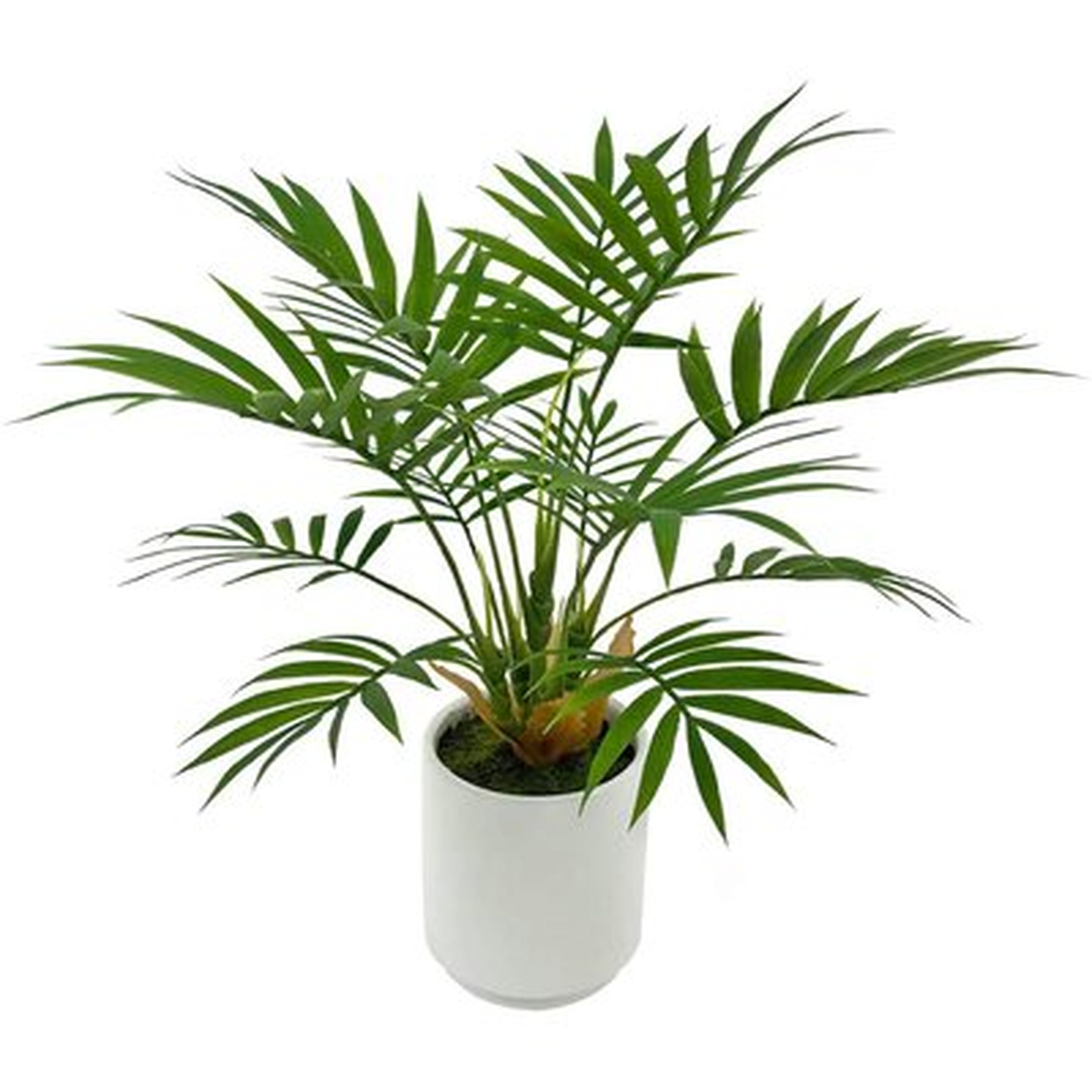 Artificial  Plant, Potted Artificial Plant For Home Office Decoration, Ships In  Ceramic Planter - Wayfair