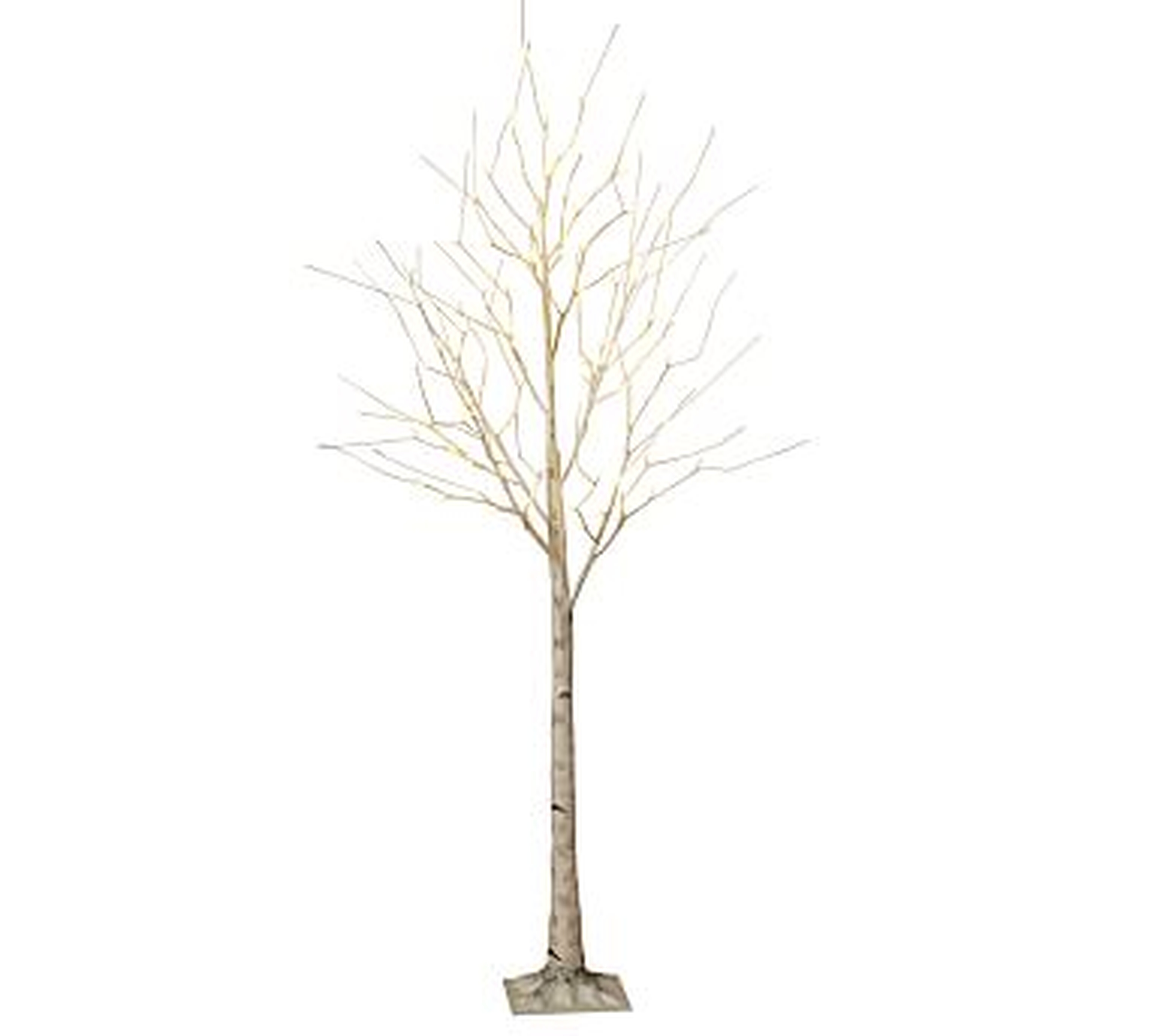 Lit LED Faux White Birch Tree, White, 6' - Pottery Barn