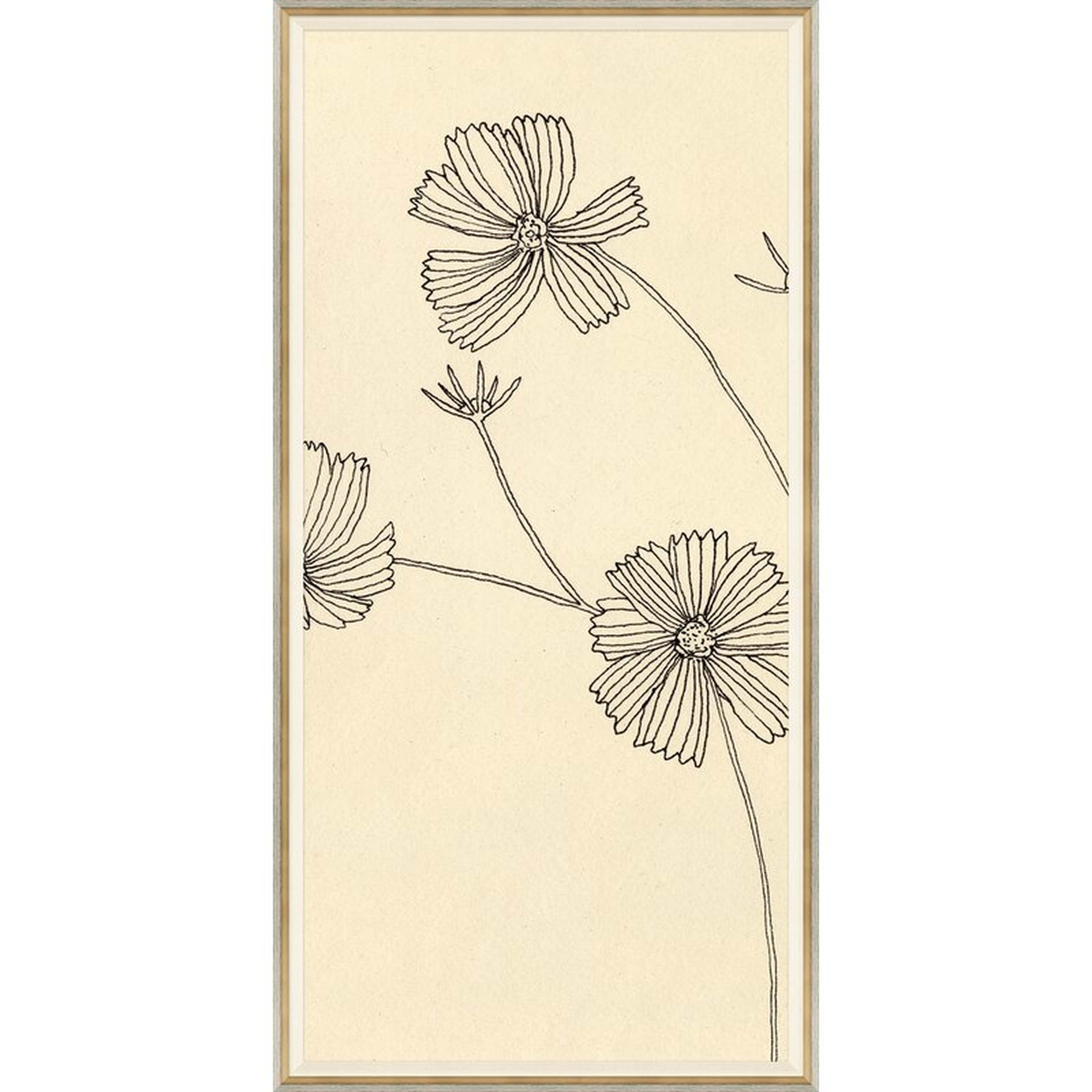 Soicher Marin 'Cosmos I' by Susan Hable - Picture Frame Graphic Art on Paper - Perigold
