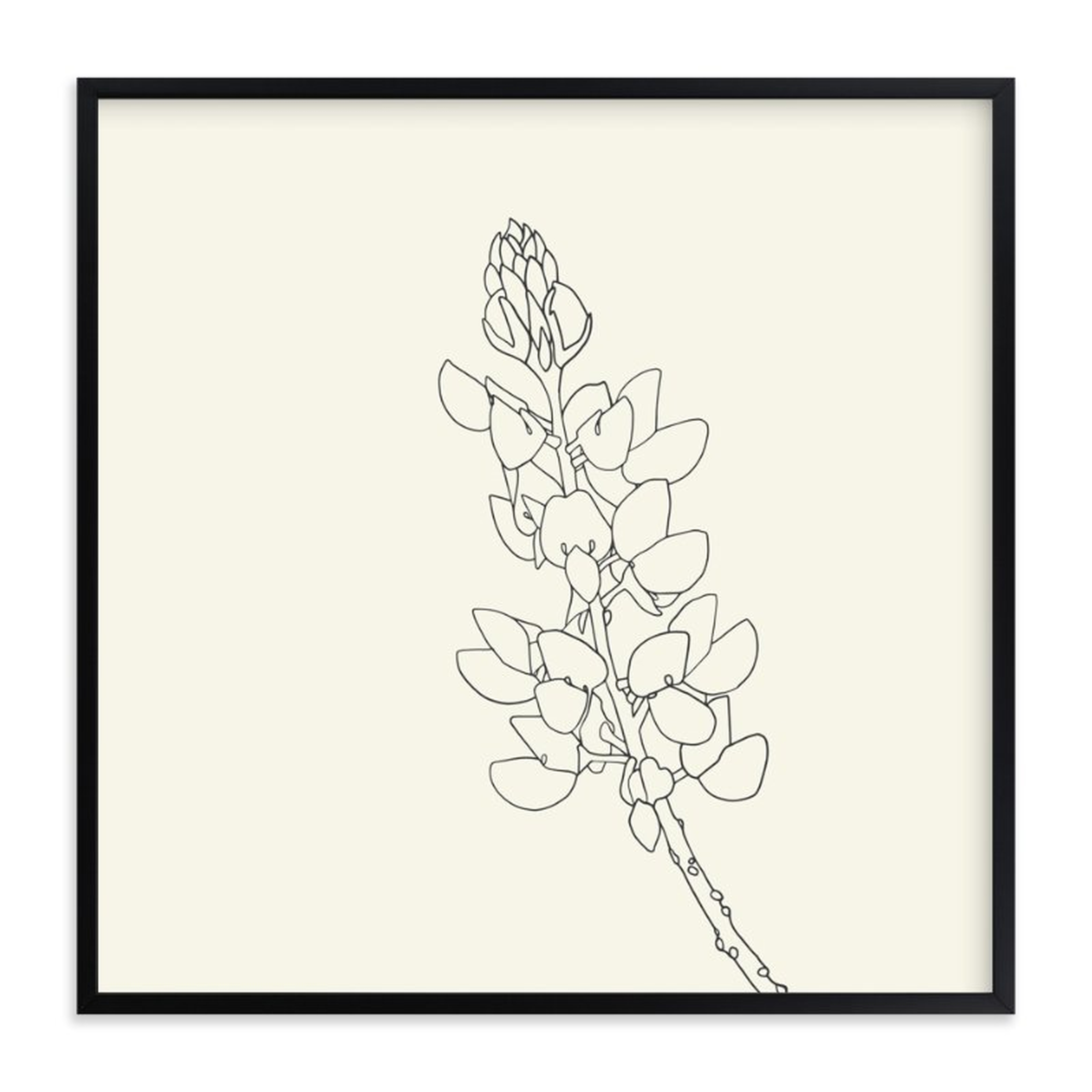 Lupine Limited Edition Art Print - Minted