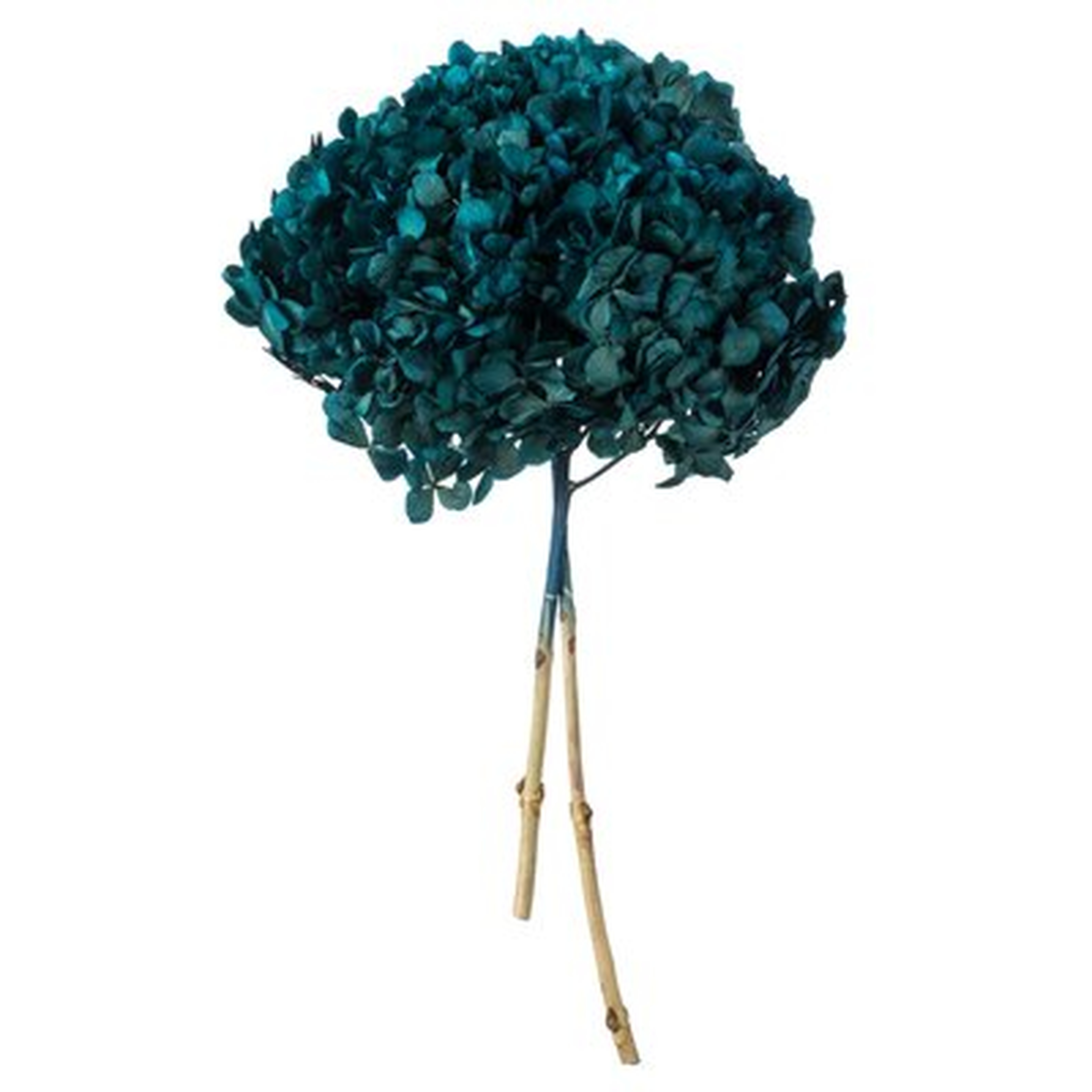 Orchid Hydrangea Spray 6" – 8" W - Birch Lane