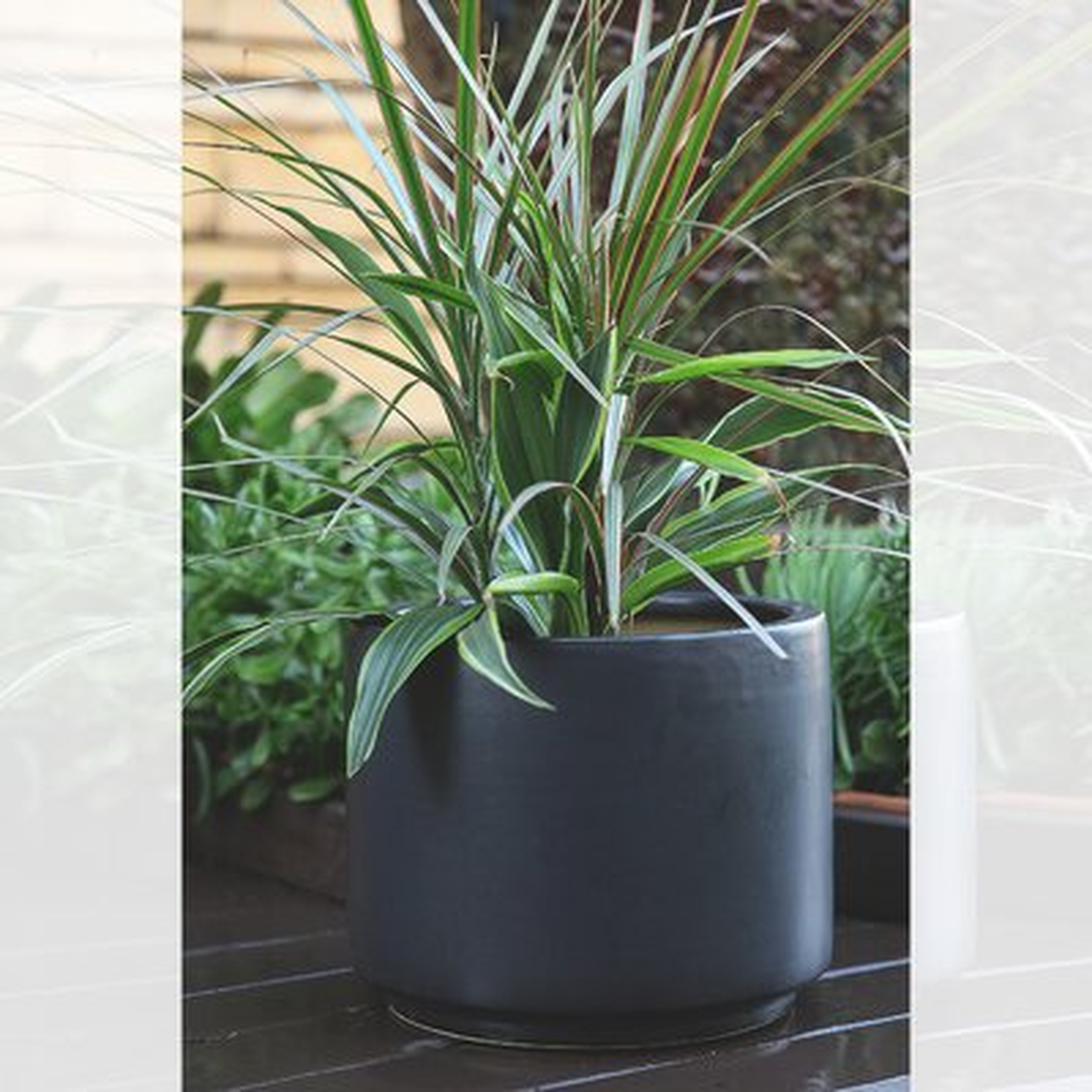 Anedra Clay and Glaze Pot Planter - Wayfair