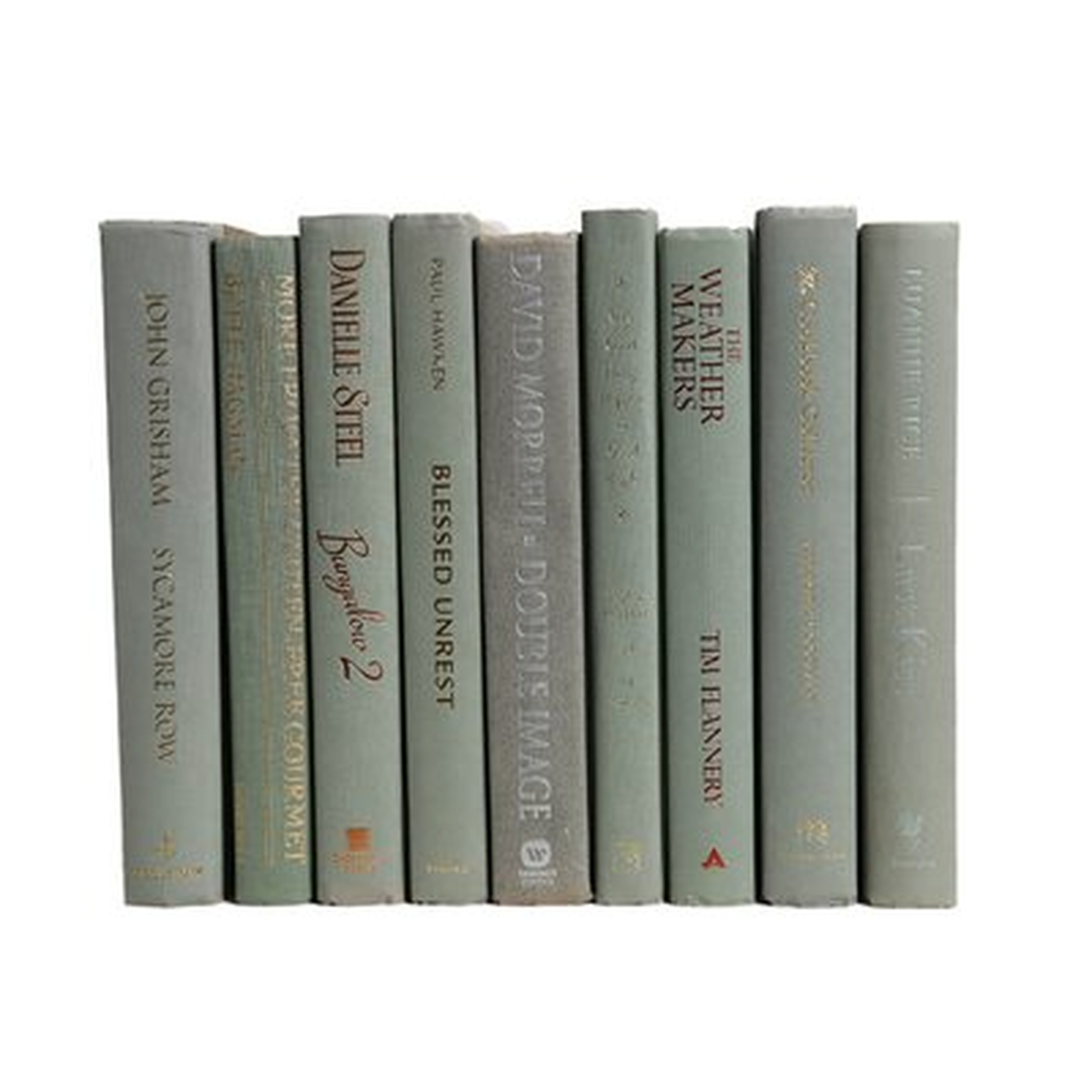 Spanish Moss Authentic Decorative Book - Wayfair