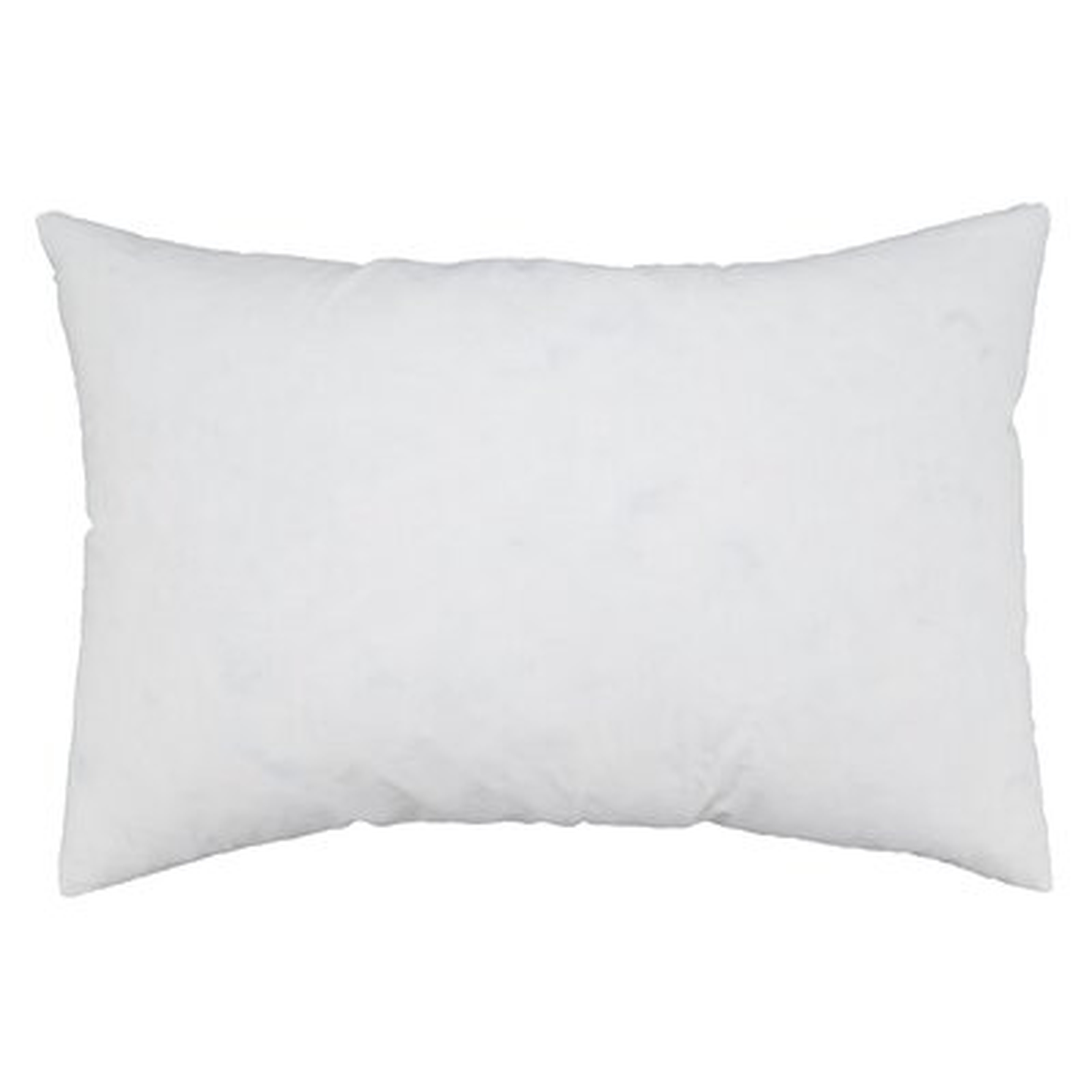 Lumbar Pillow Insert - Wayfair