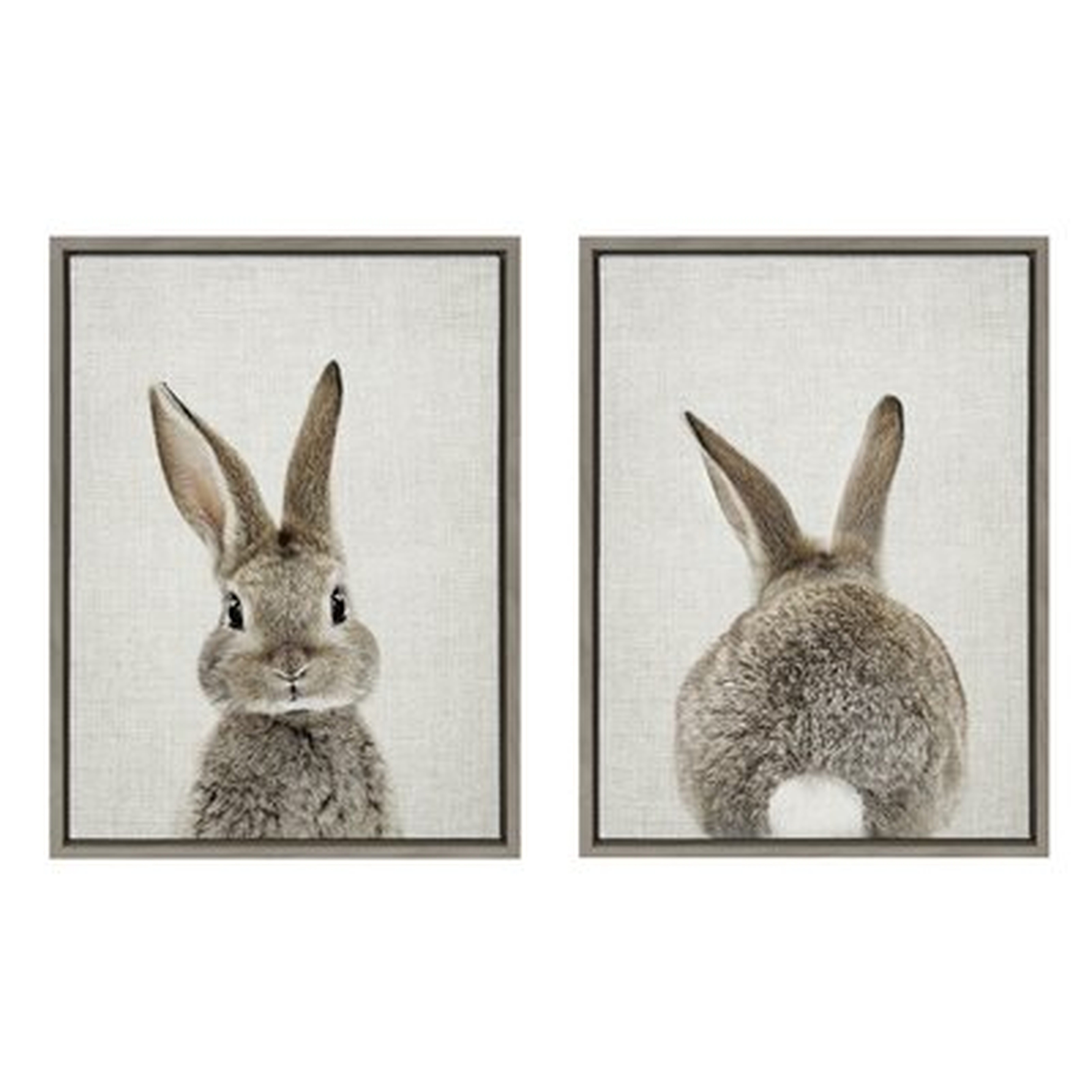 'Bunny Portrait on Linen and Bunny Tail on Linen' by Amy Peterson - 2 Piece Floater Frame Photograph Print on Canvas - Wayfair