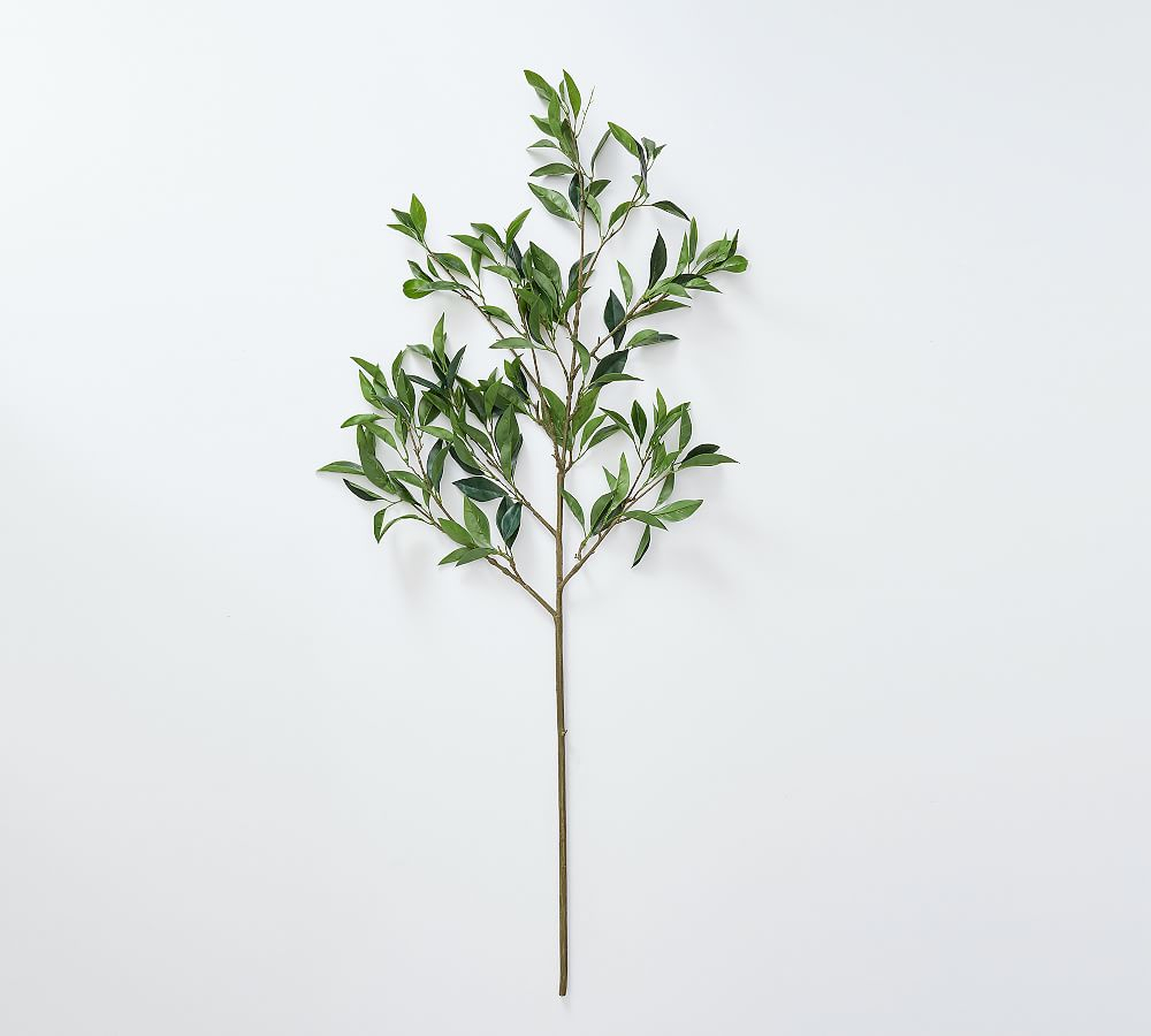 Faux Bay Leaf Branch, Large, Green - Pottery Barn