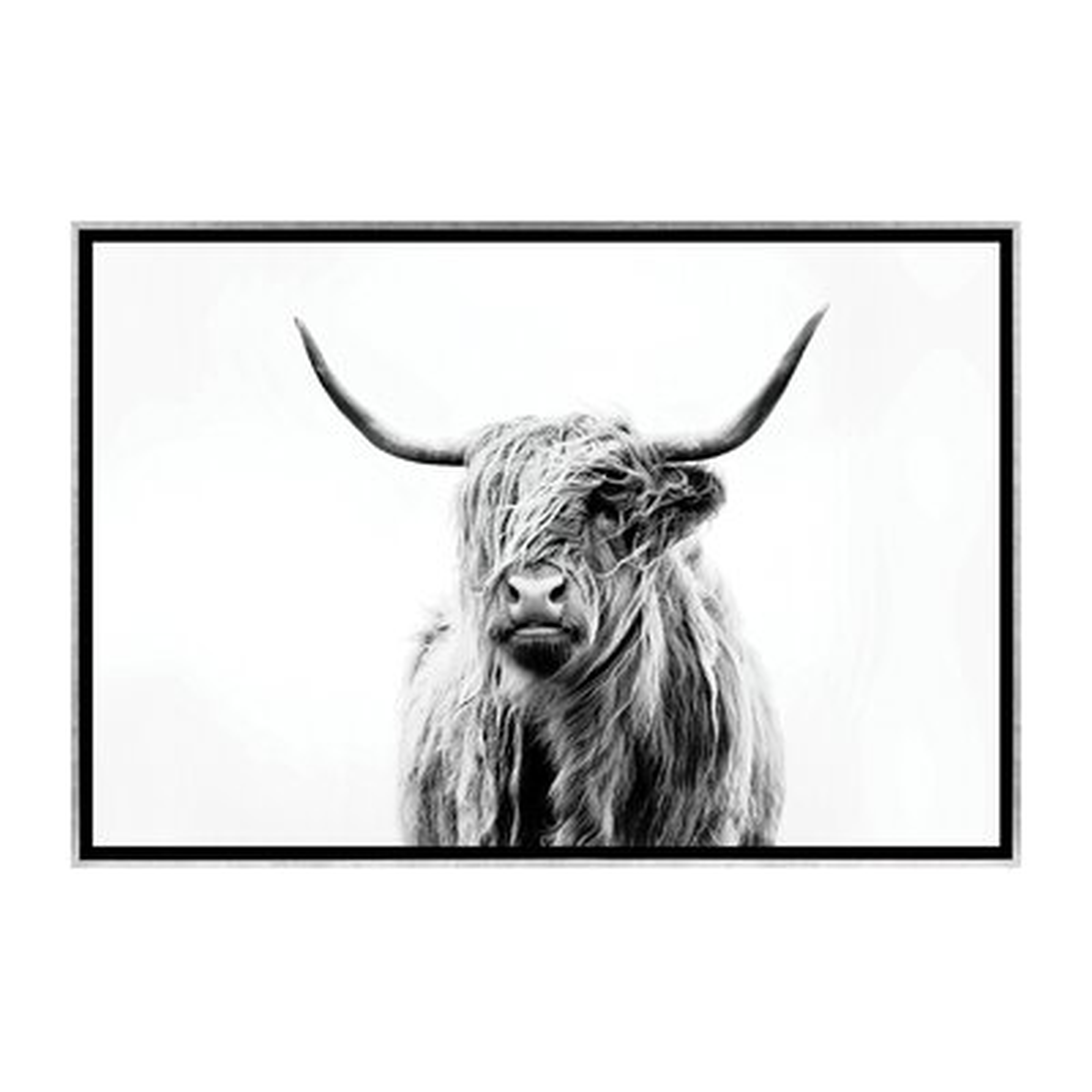 'Portrait of a Highland Cow' by Dorit Fuhg - Painting Print - Wayfair