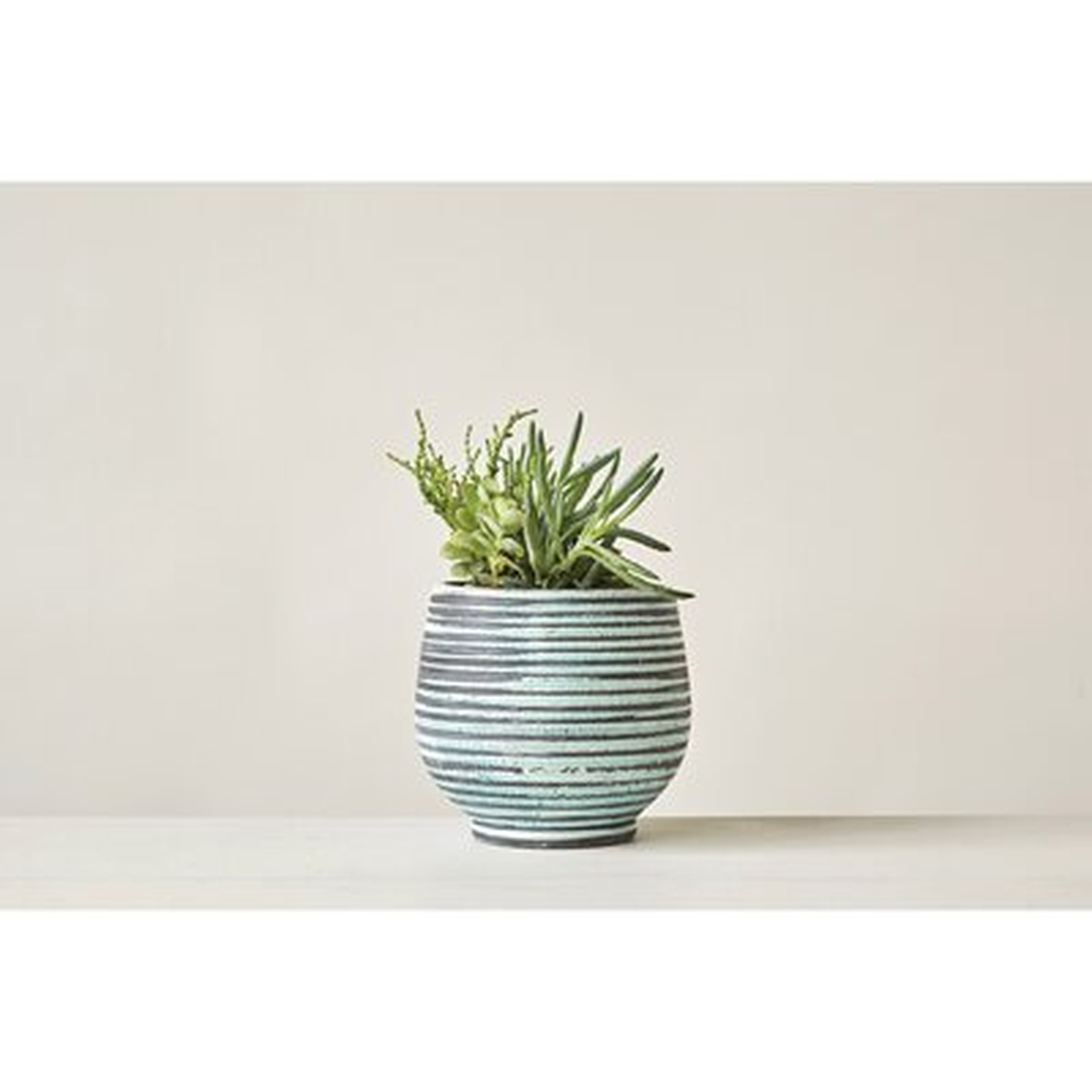 Ector Terracotta Pot Planter - Birch Lane