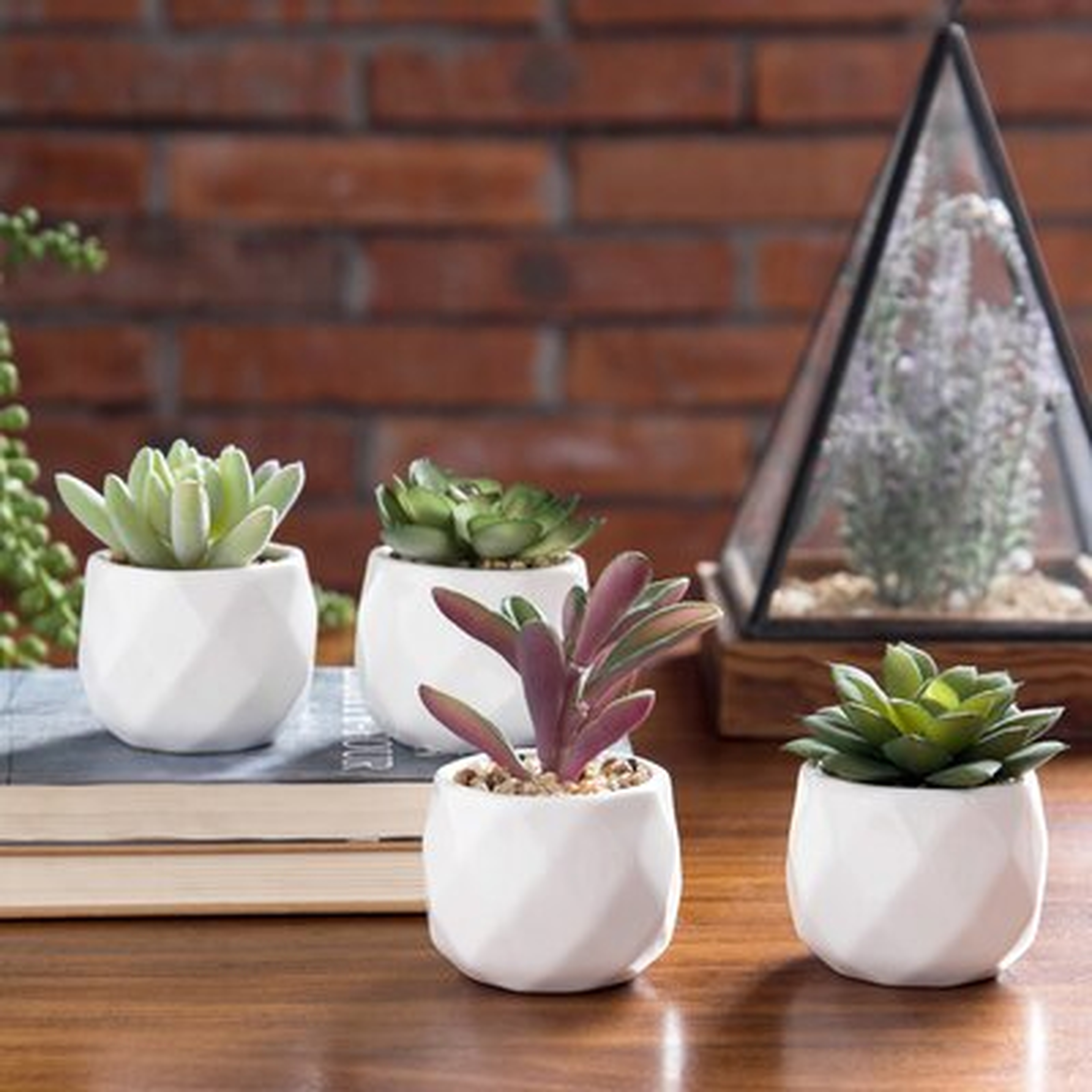 4 - Piece Artificial Succulent Plant in Pot Set - Wayfair