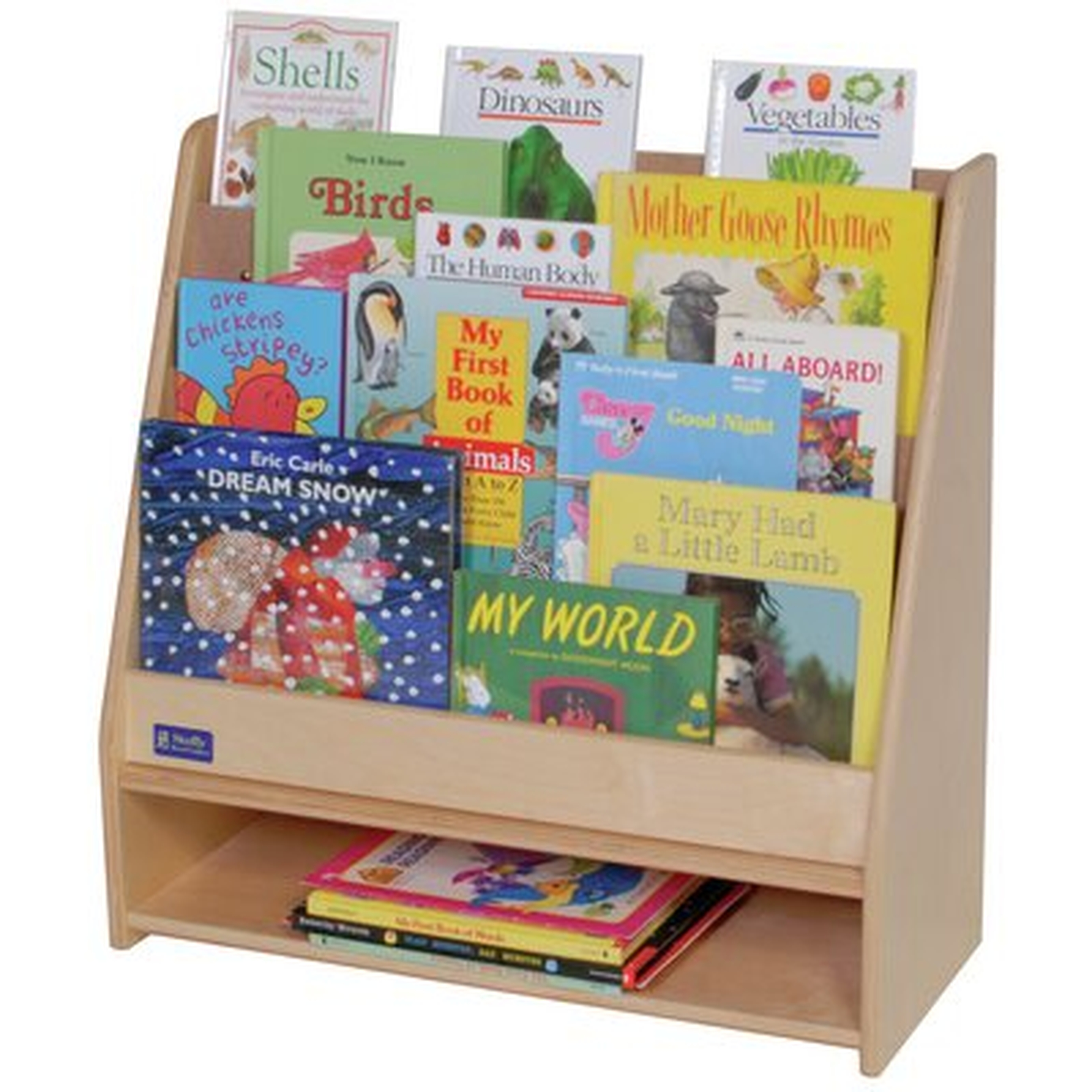 Toddler 26" Book Display - Wayfair
