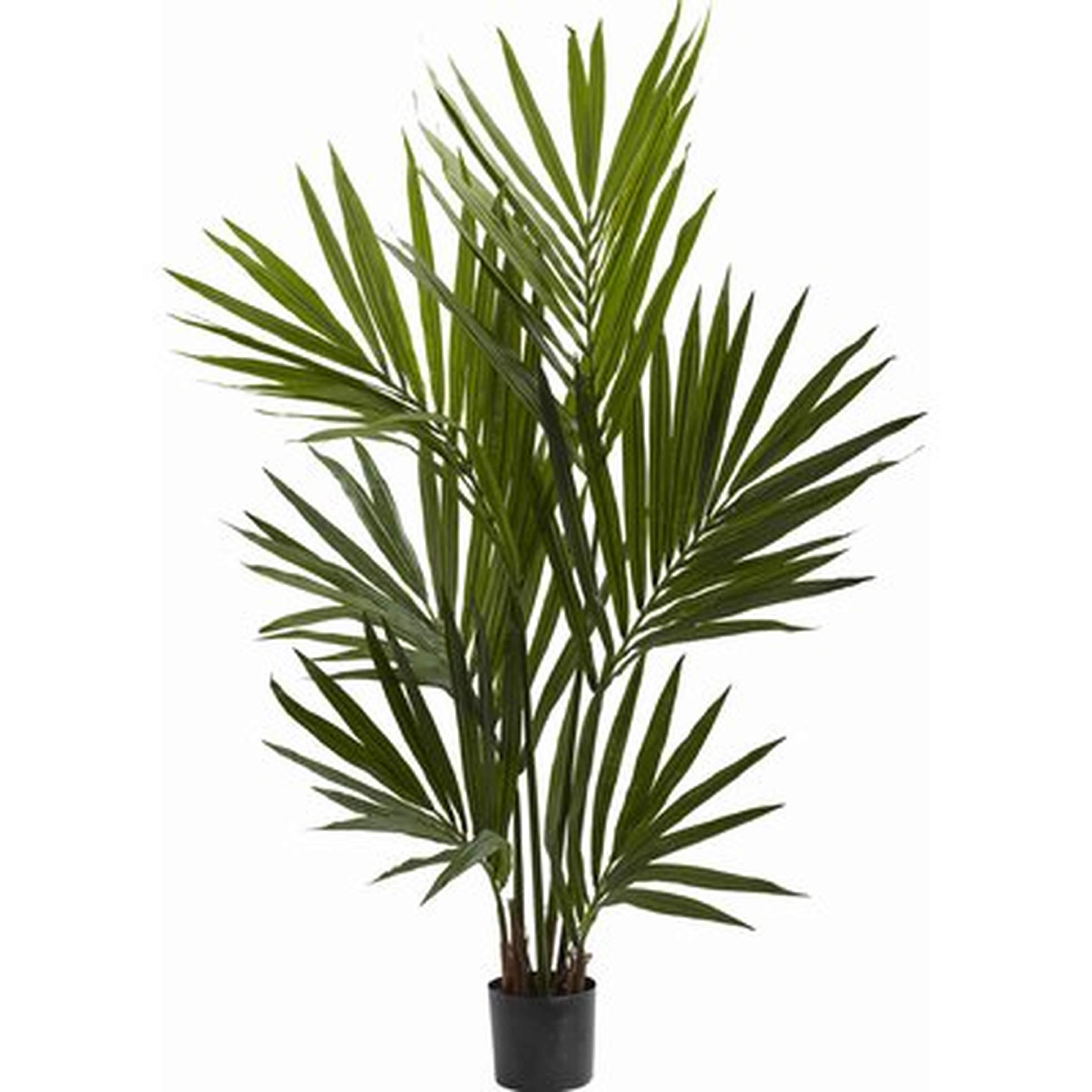 Kentia Palm Silk Tree in Pot - Wayfair
