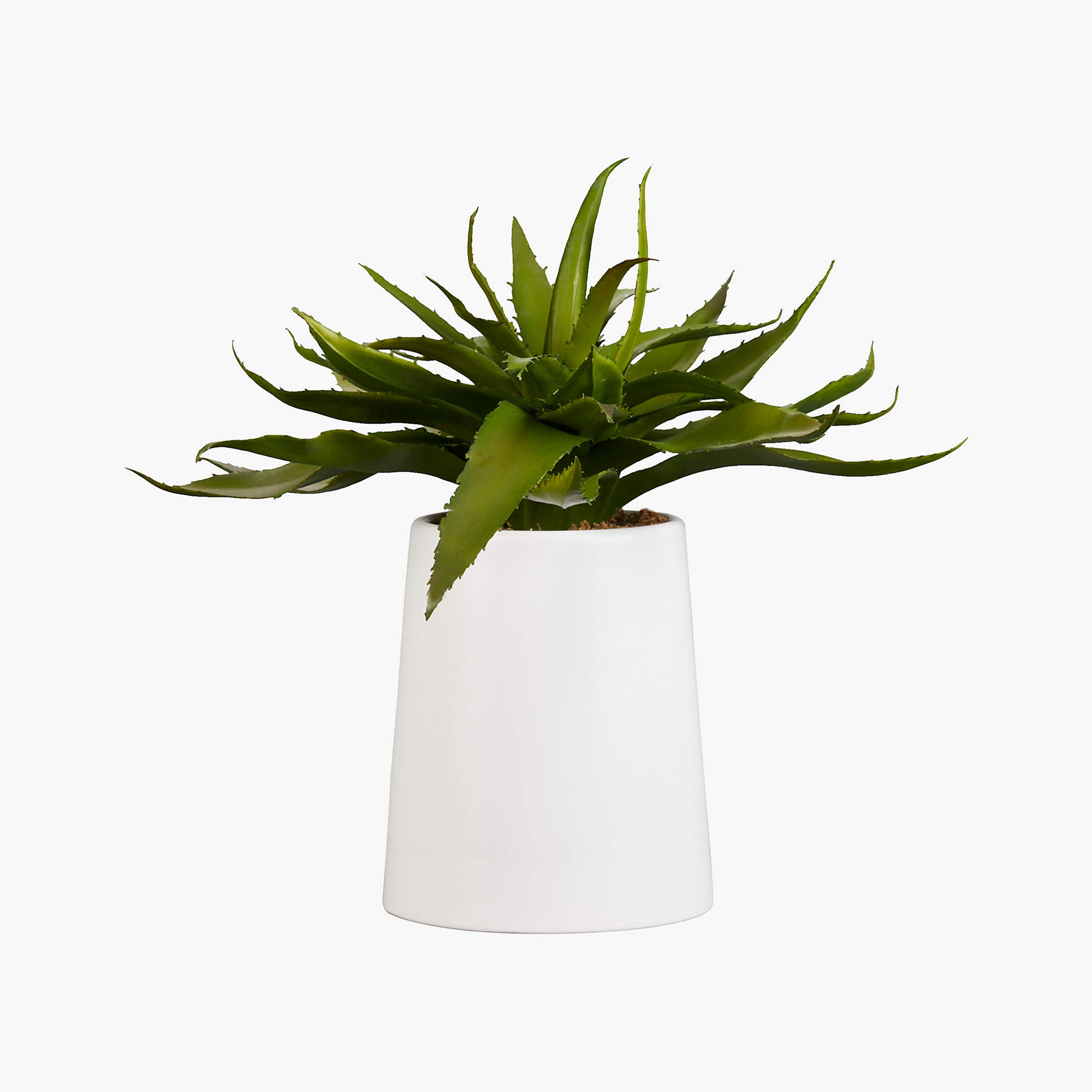 Potted Faux Aloe, 9" - CB2