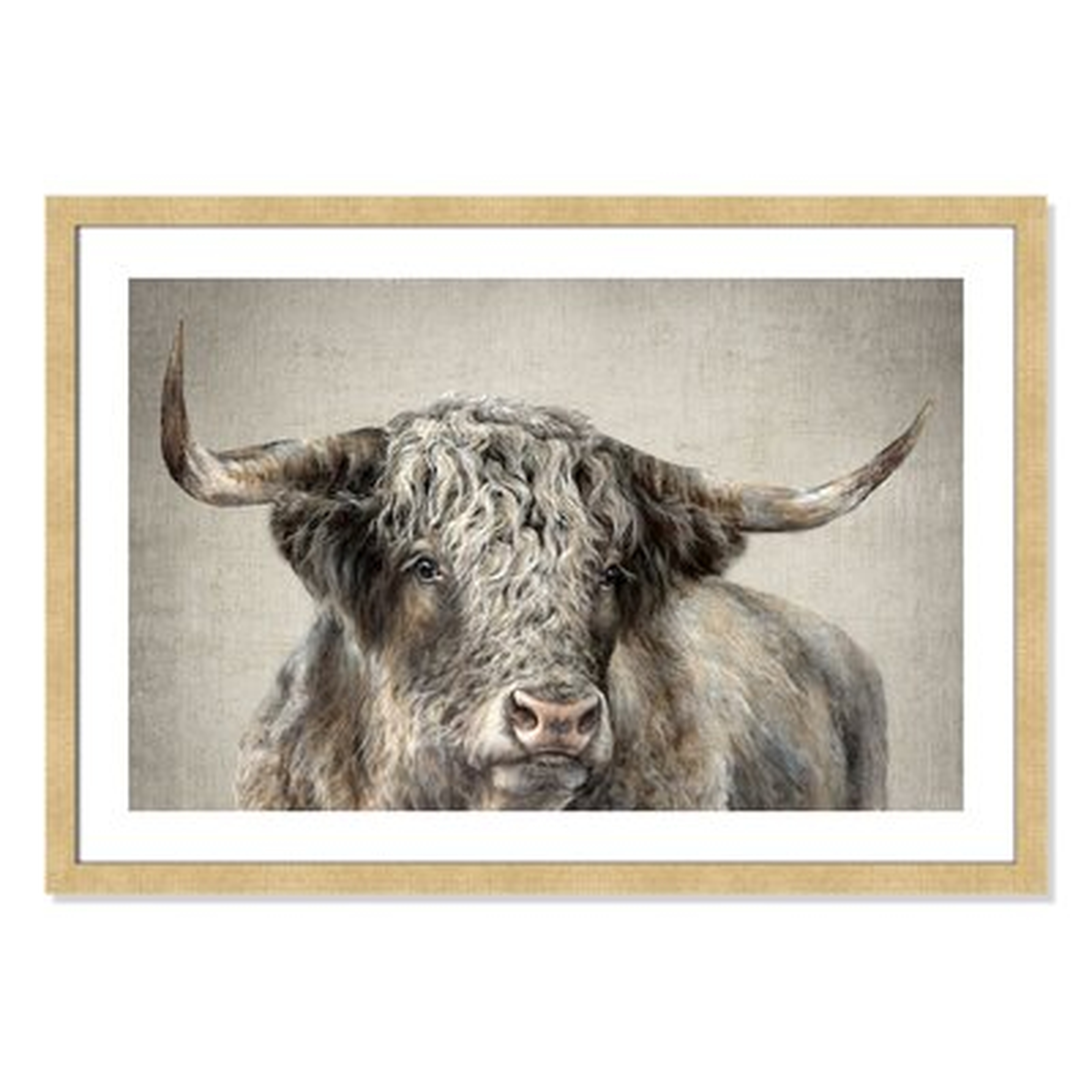 Grand Kyloe Bull - Picture Frame Print - Wayfair