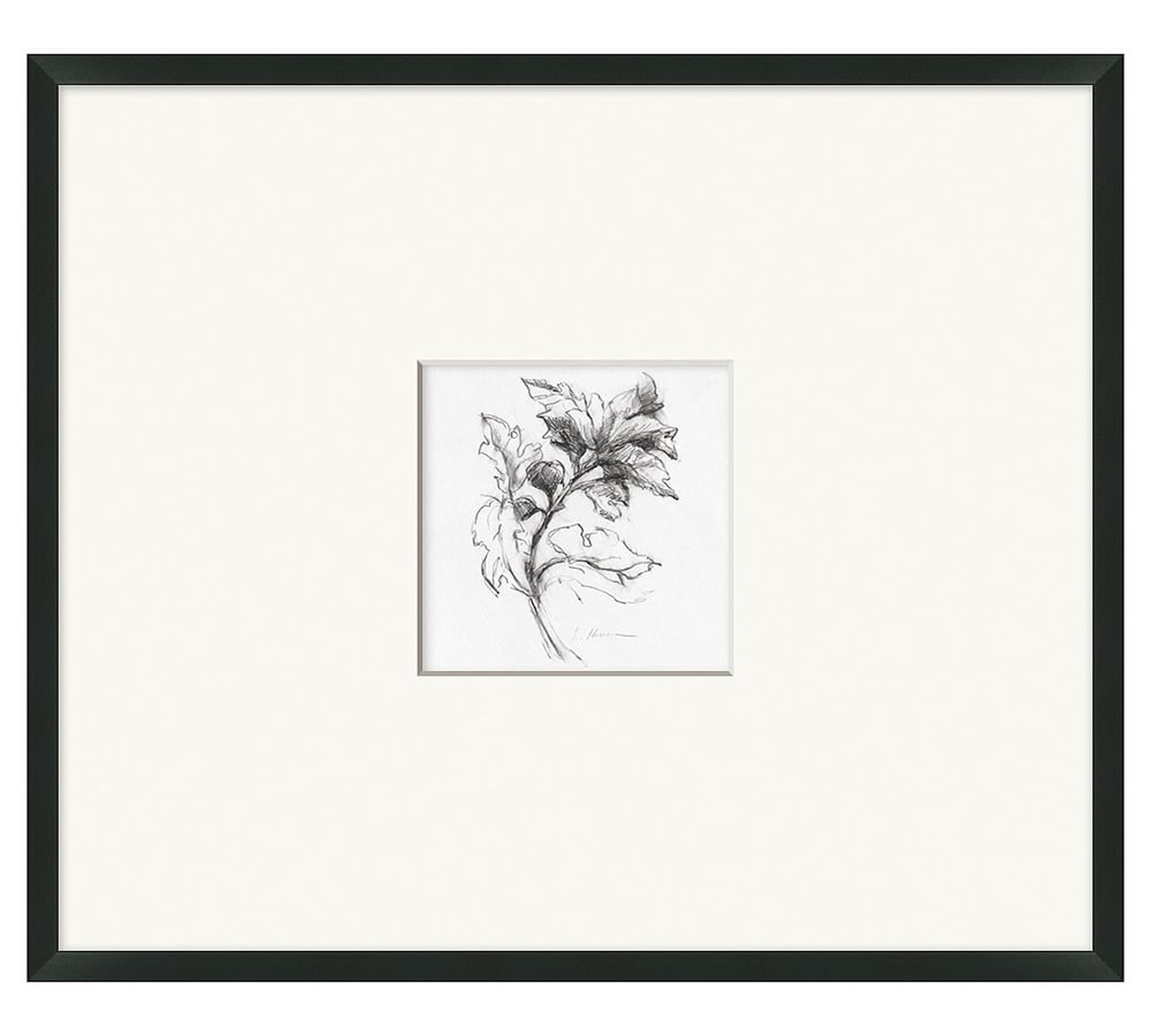Branch And Berries Framed Print, 26" x 27" - Pottery Barn