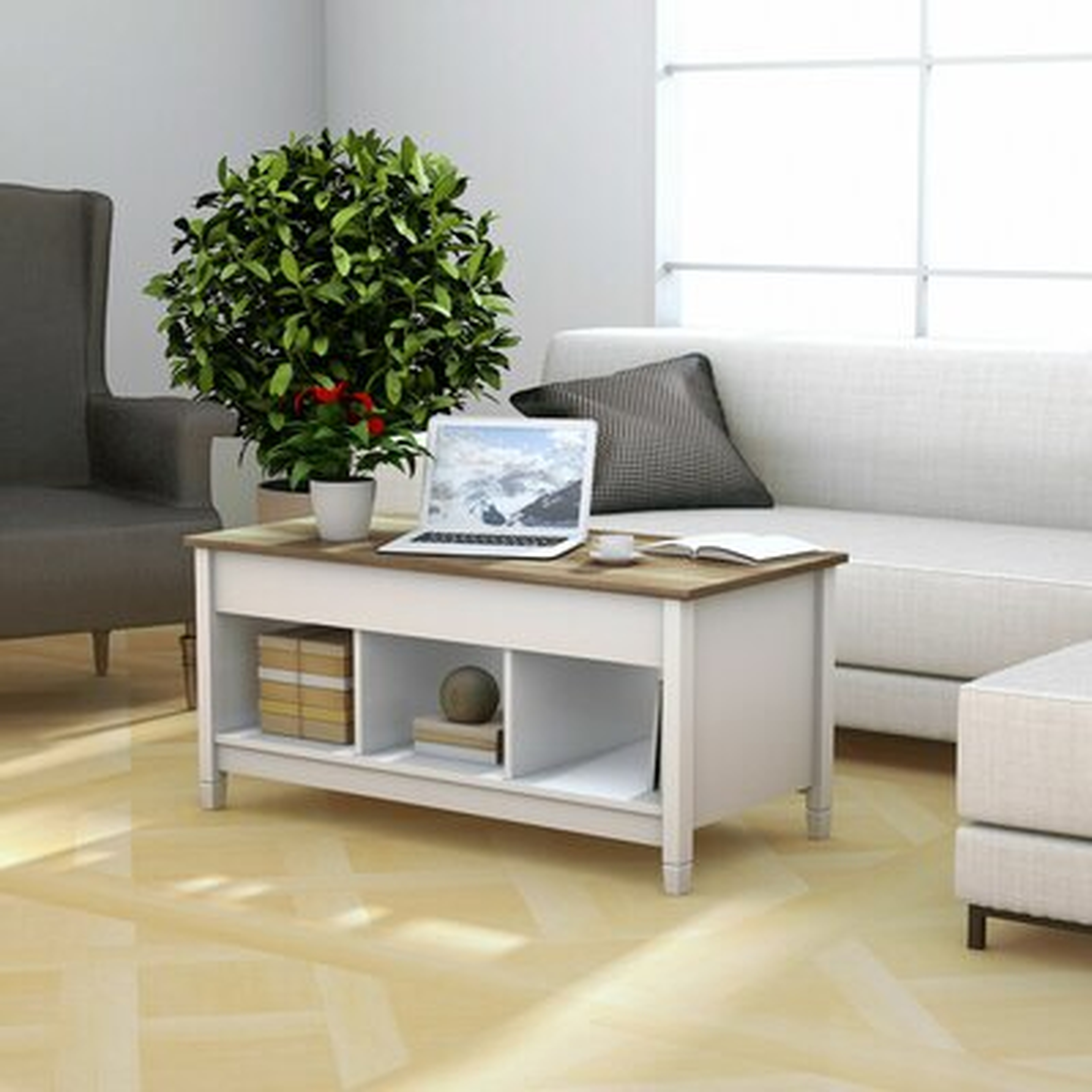Drubin Lift Top Coffee Table with Storage - Wayfair