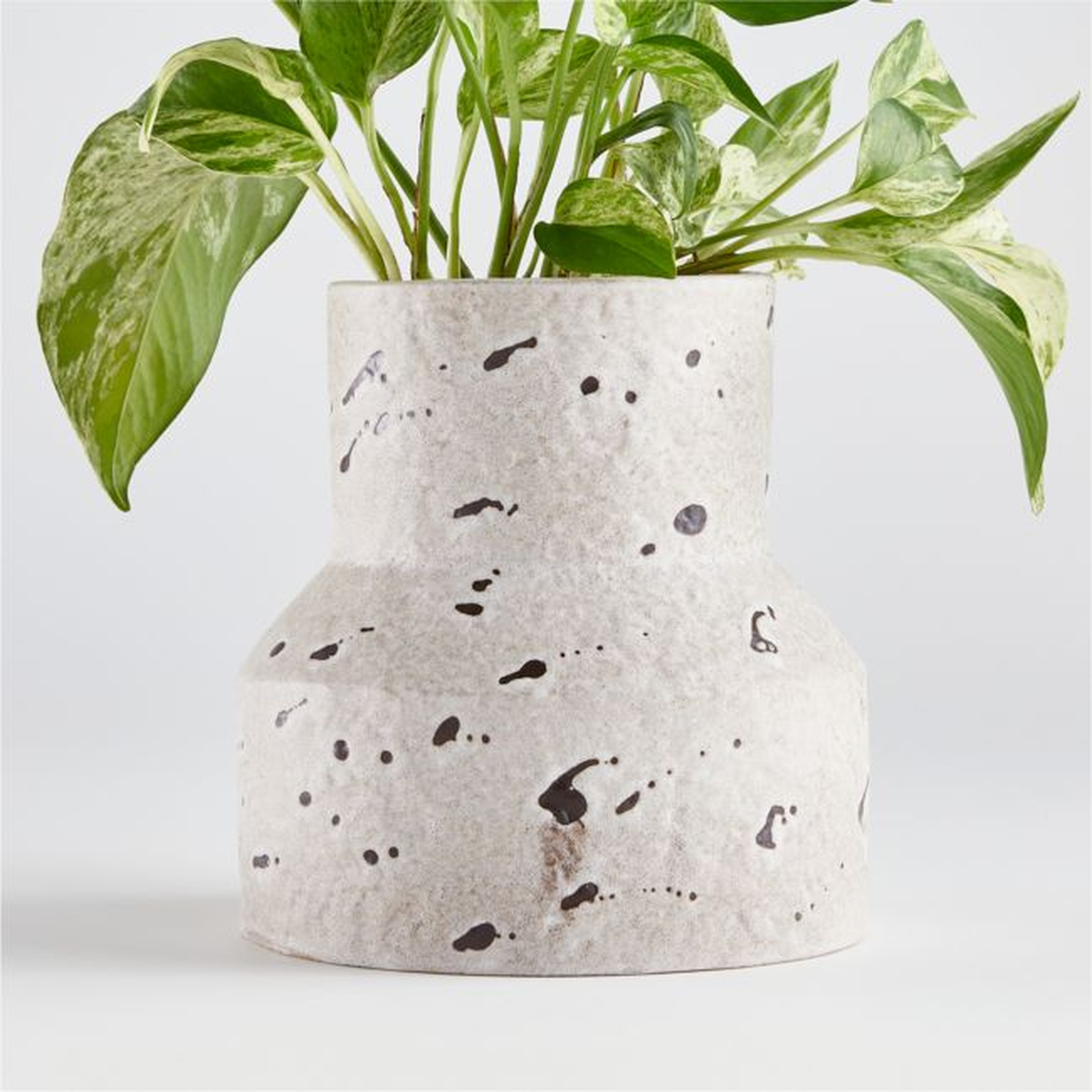 Field Geo Pot with Speckles - Crate and Barrel
