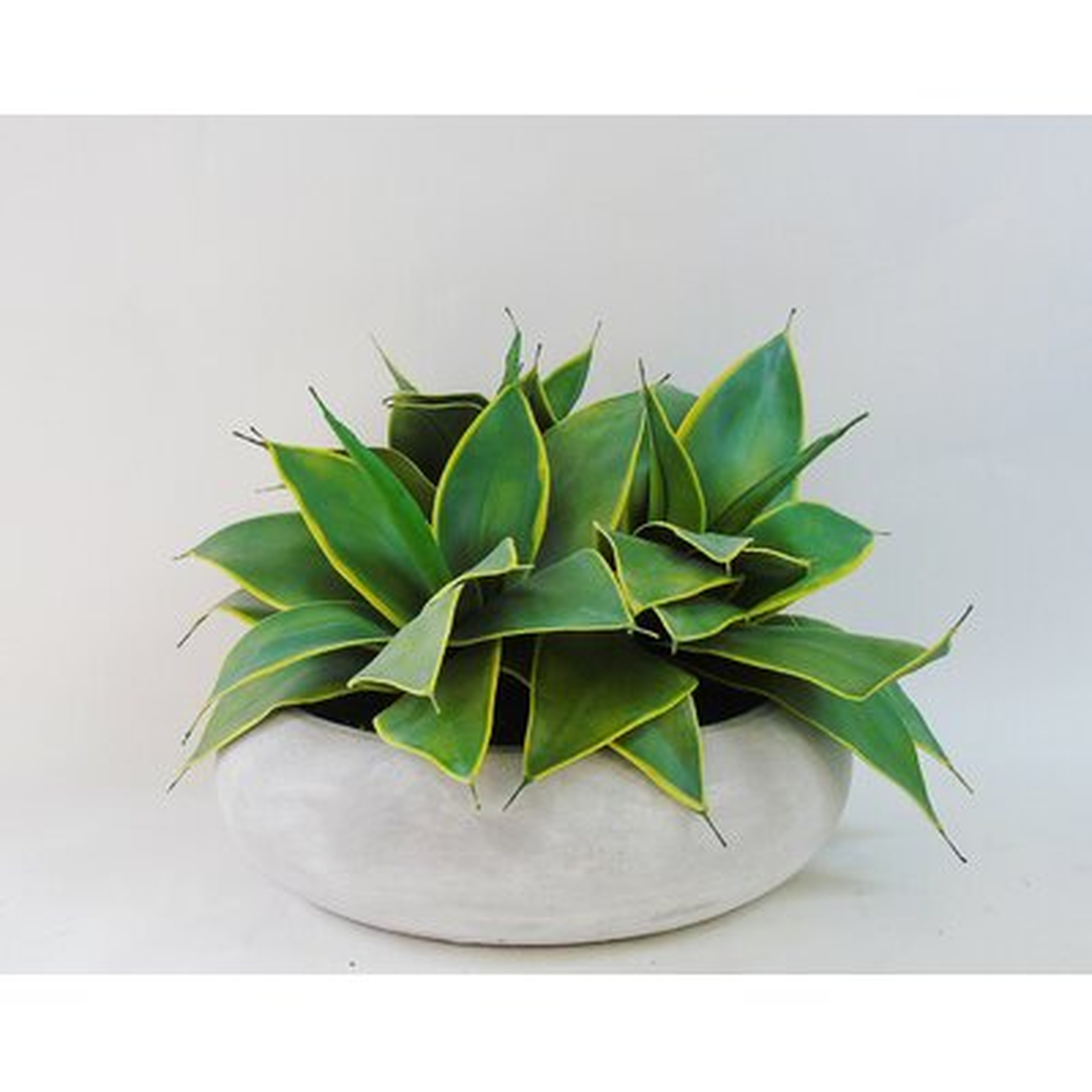 7" Artificial Agave Succulent in Planter - Wayfair