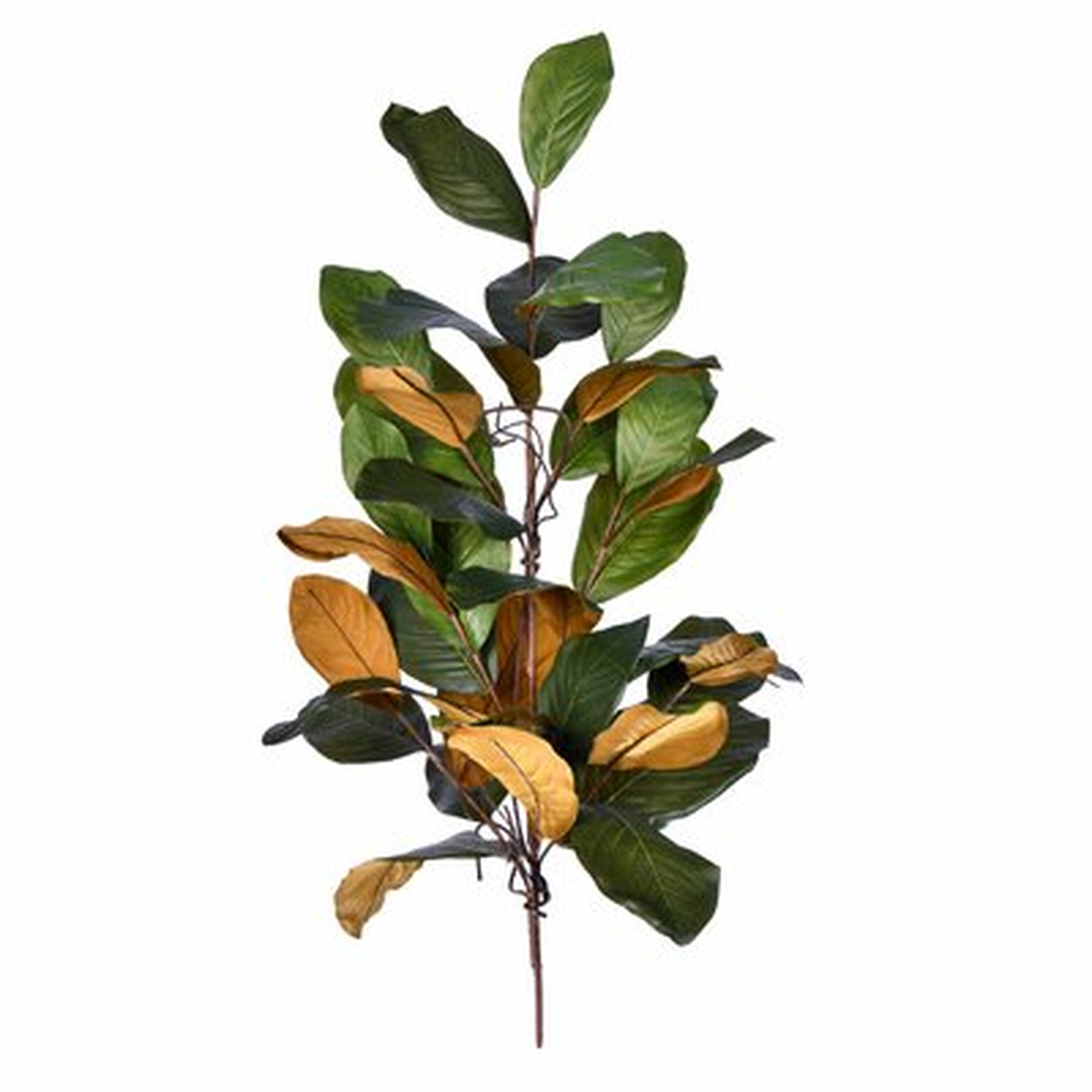 Magnolia Stem - Birch Lane