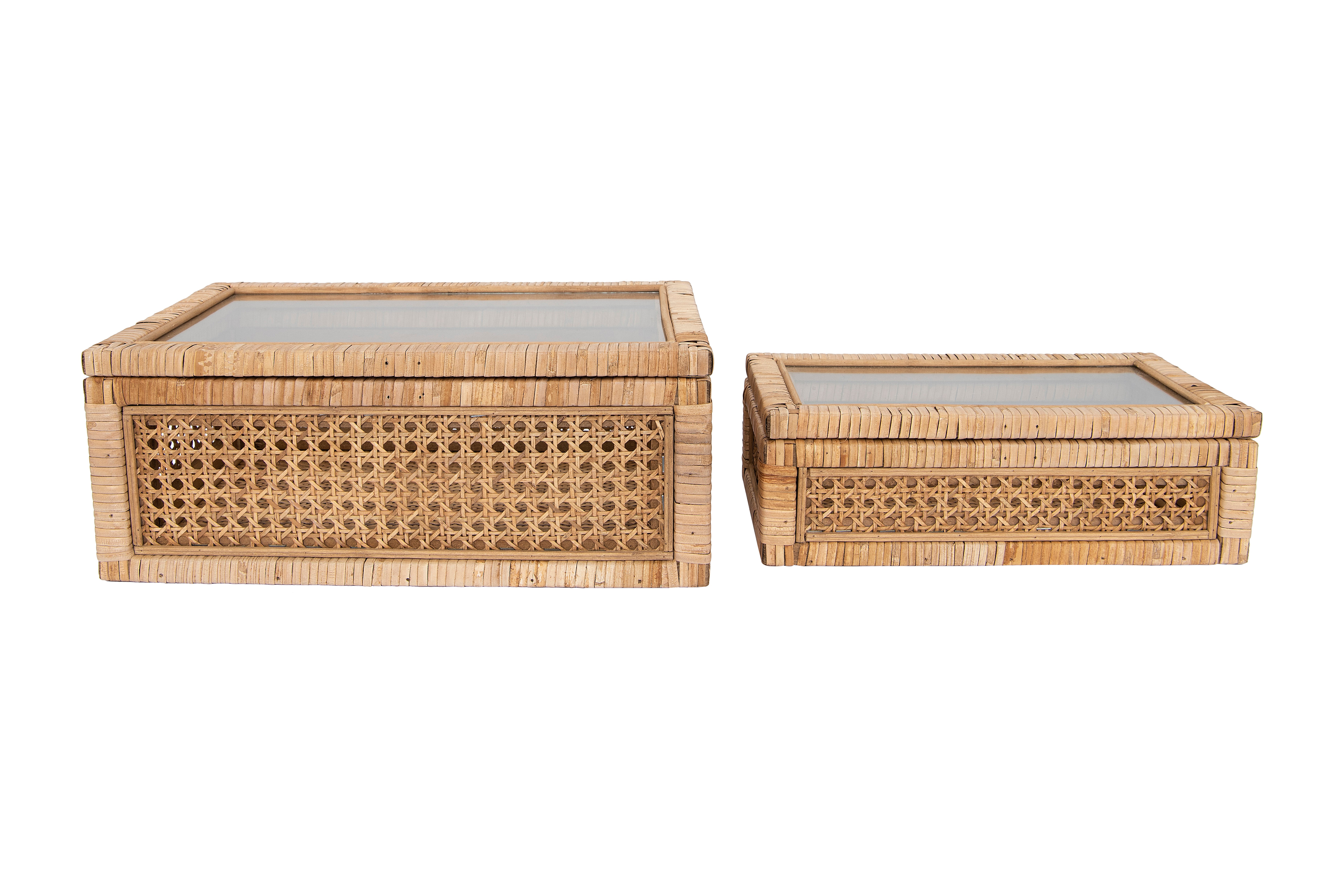 Woven Rattan Display Boxes with Glass Lids & Fir Wood Frame (Set of 2 Sizes) - Nomad Home