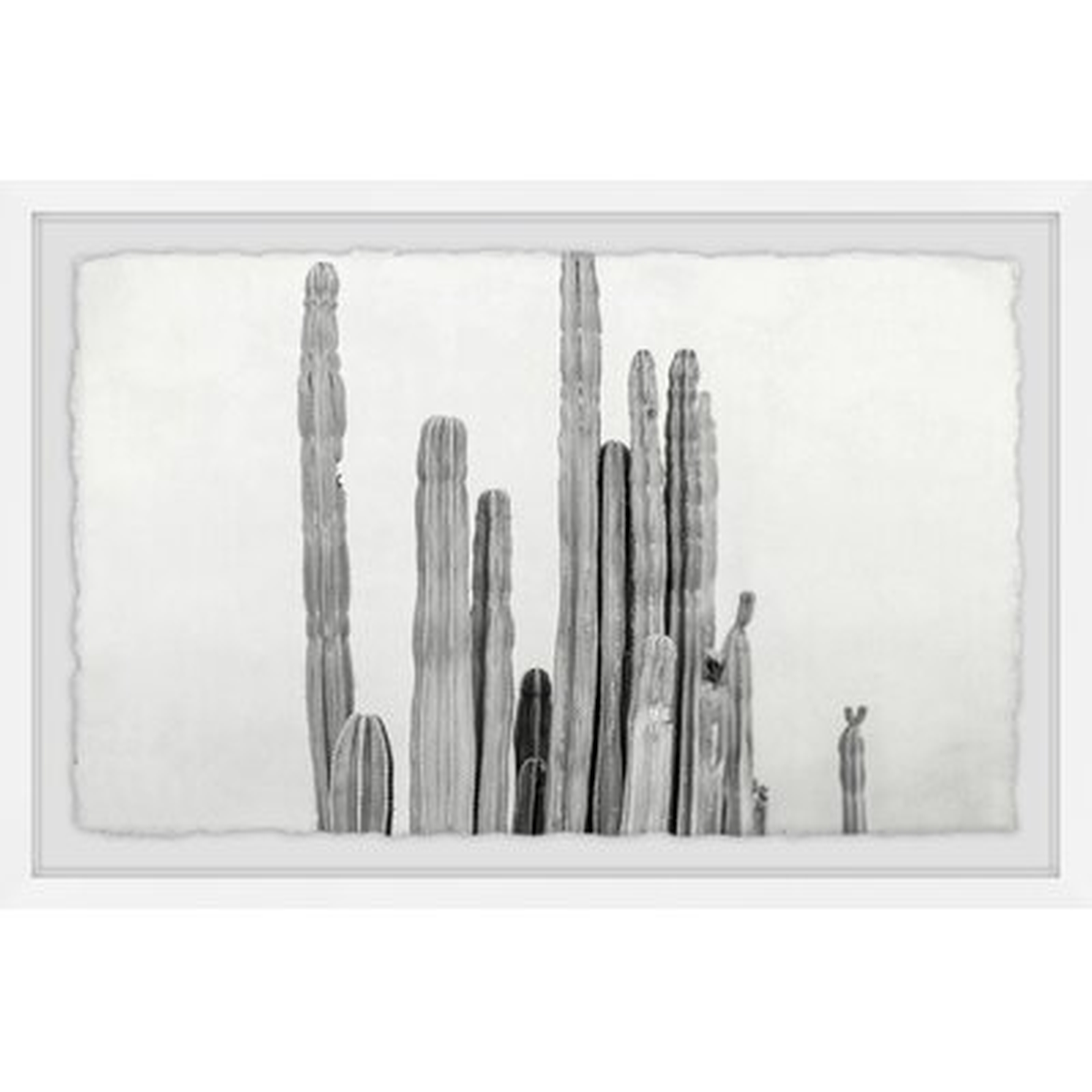 'Long and Short Cacti' - Picture Frame Graphic Art Print on Paper - Wayfair