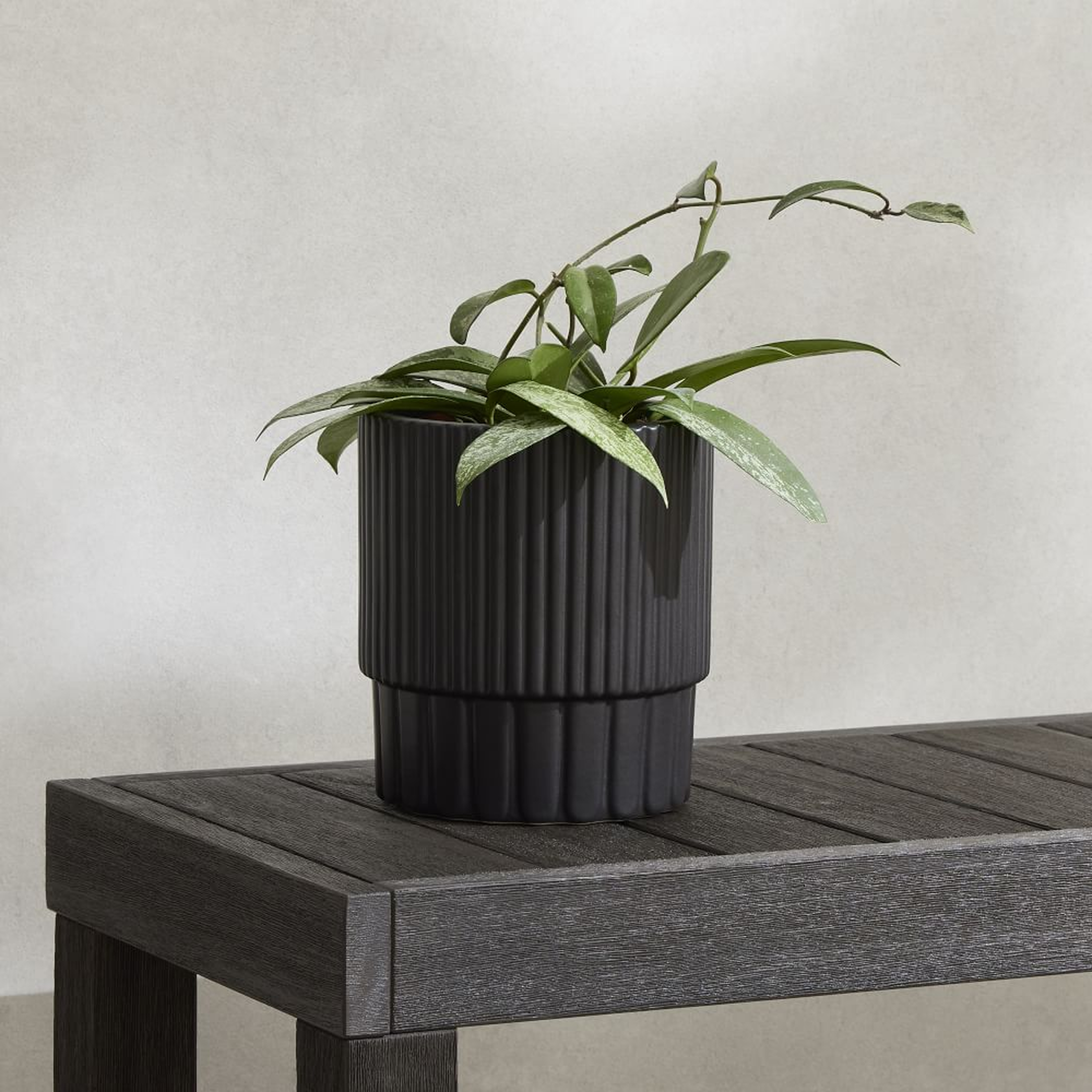 Fluted Ceramic Indoor/Outdoor Tabletop Planter, 7.5"D x 8"H, Black - West Elm
