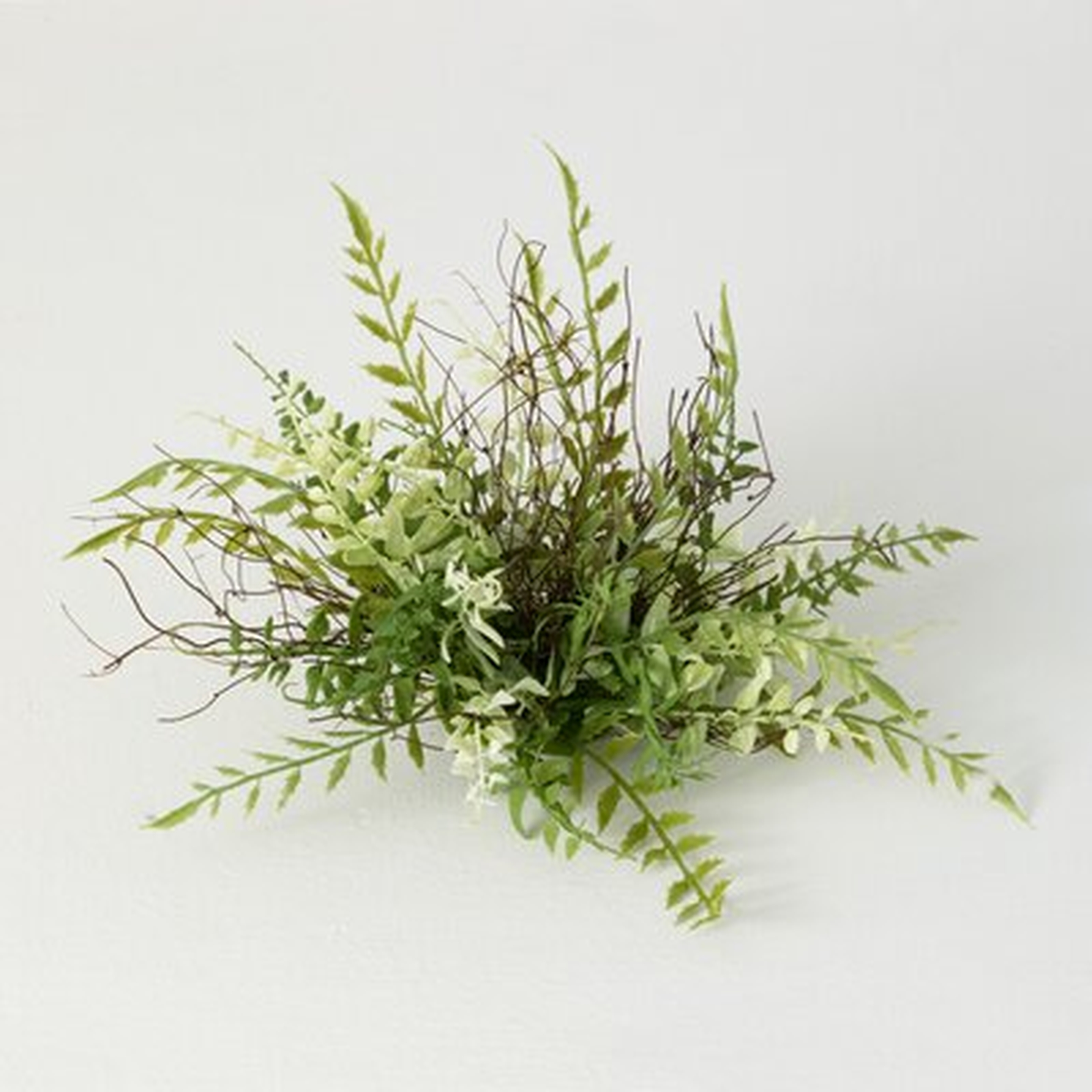 12'' Fern Orb - Wayfair