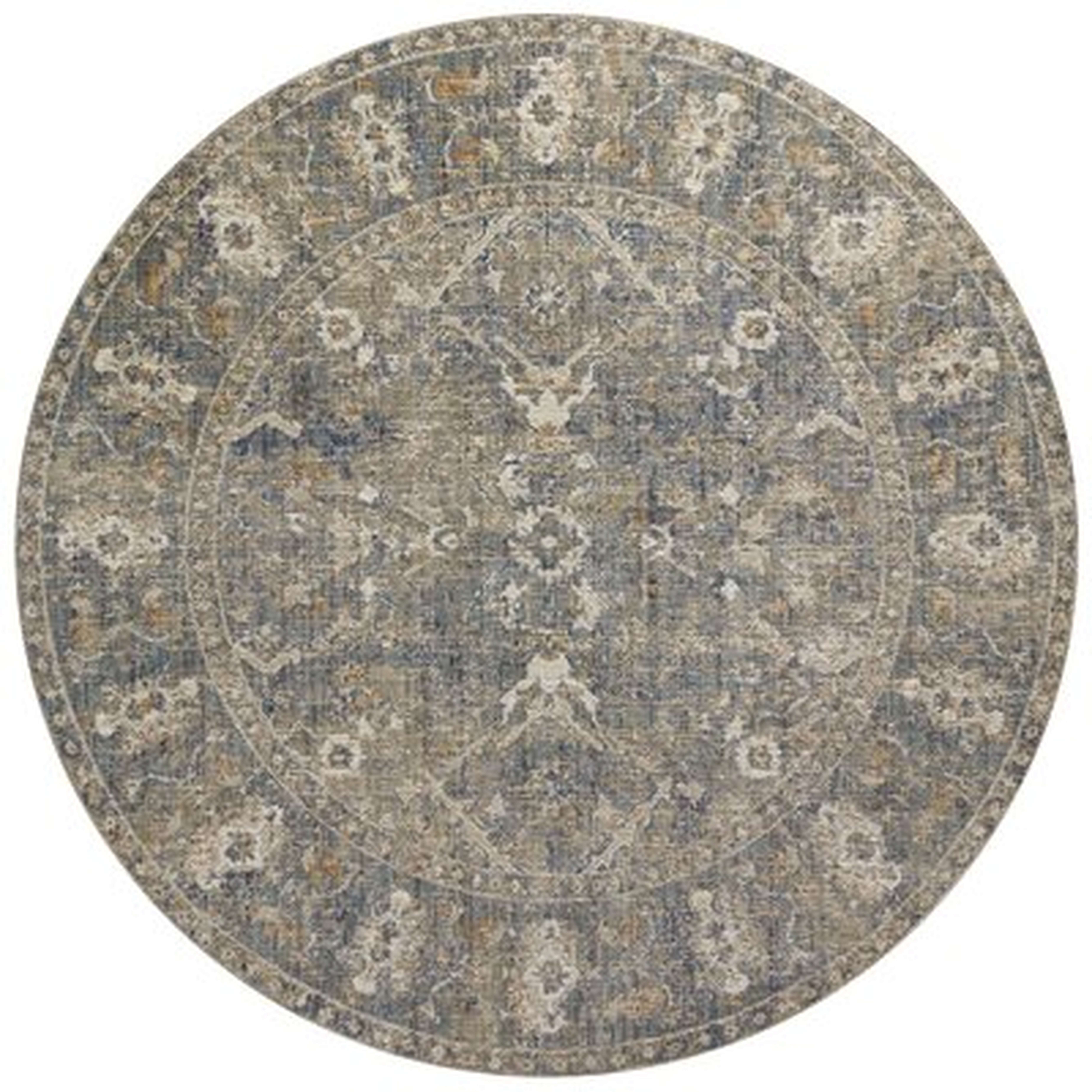 Rosemarie Oriental Sand/Lagoon Area Rug - Wayfair
