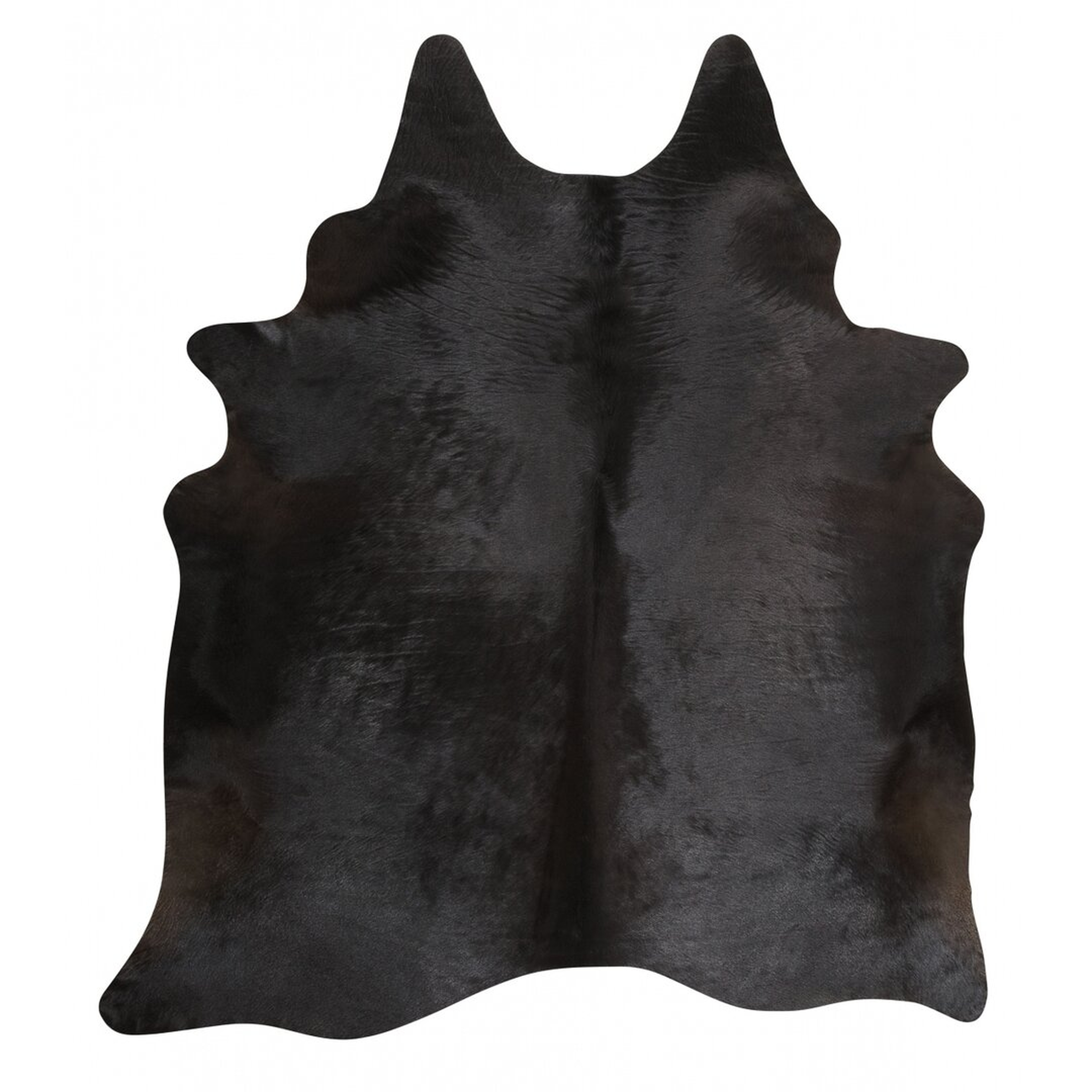 Rodeo Black Area Rug - Perigold