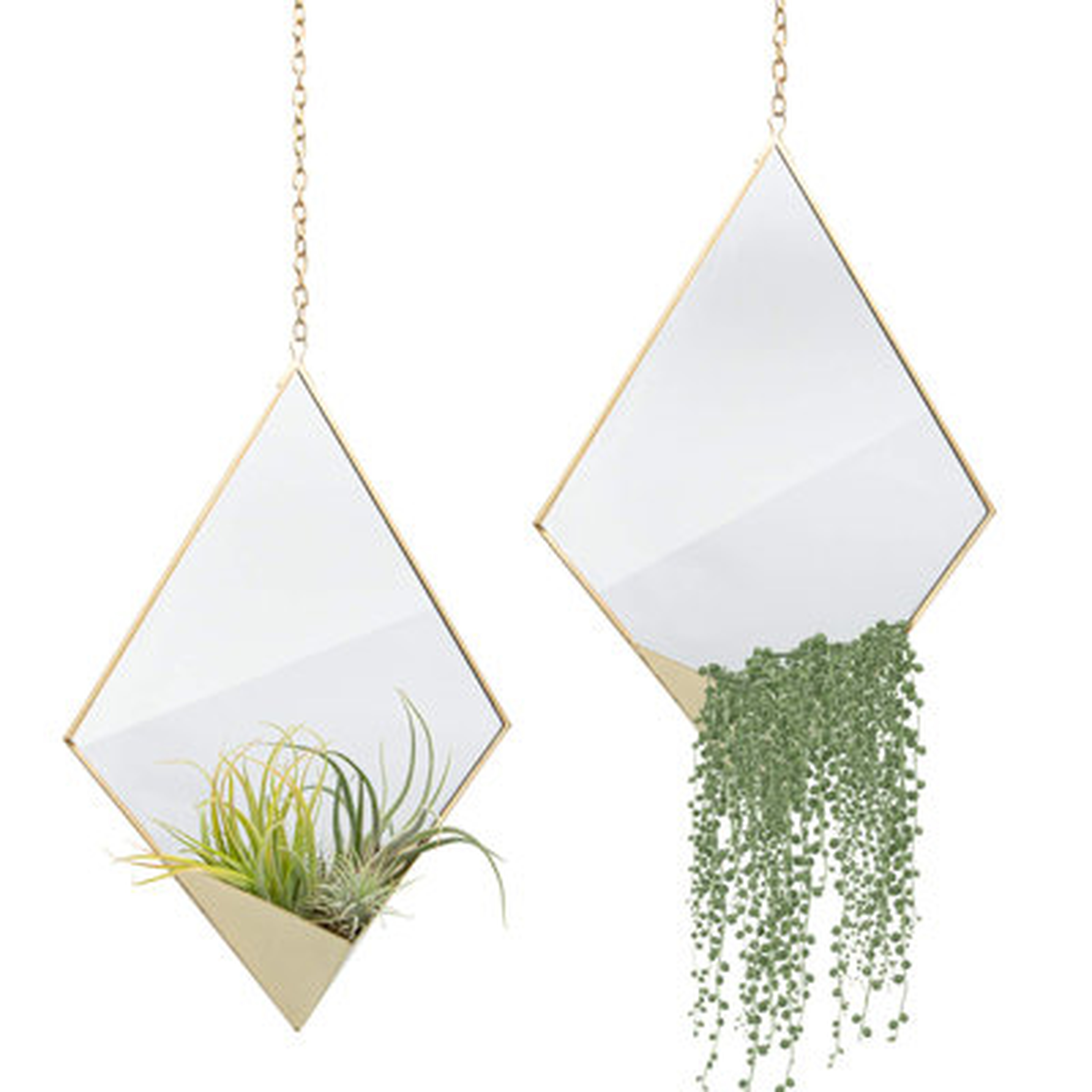 Mirror With Air Plant Holder, Modern Plant Pot Hanger - Wayfair