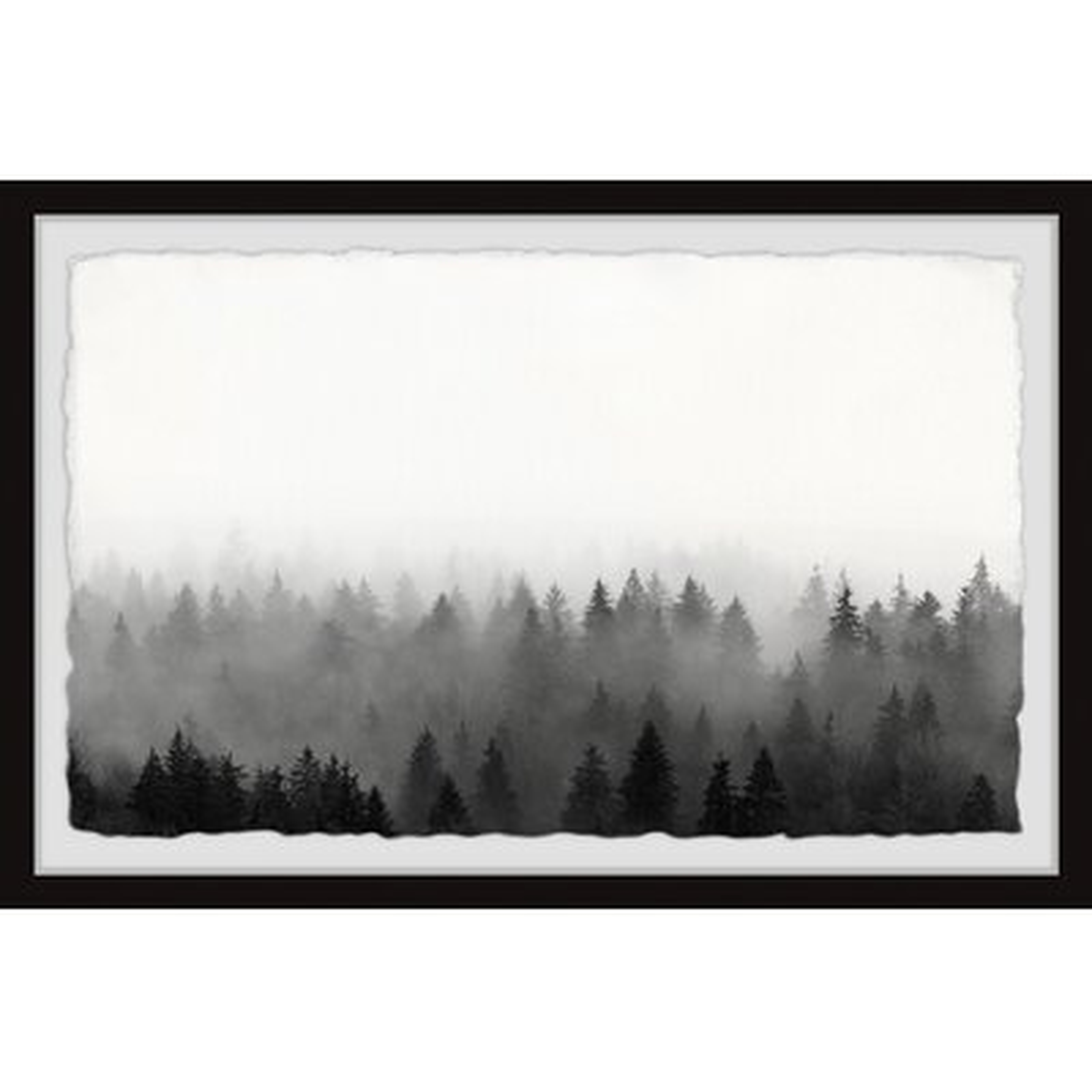 'Treetop Horizon' - Picture Frame Photograph Print on Paper - Wayfair