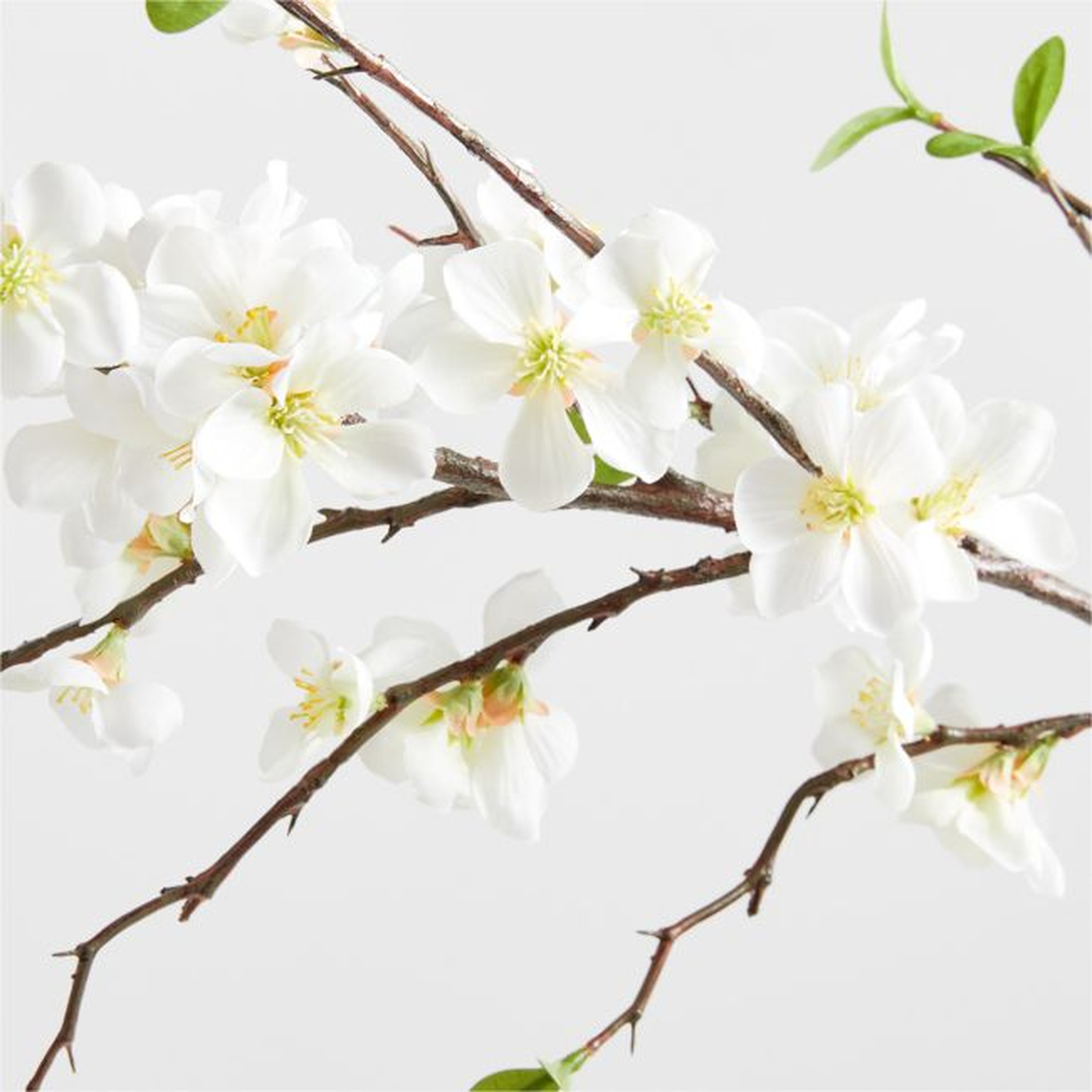 Faux Bradford Pear Branch 50" - Crate and Barrel