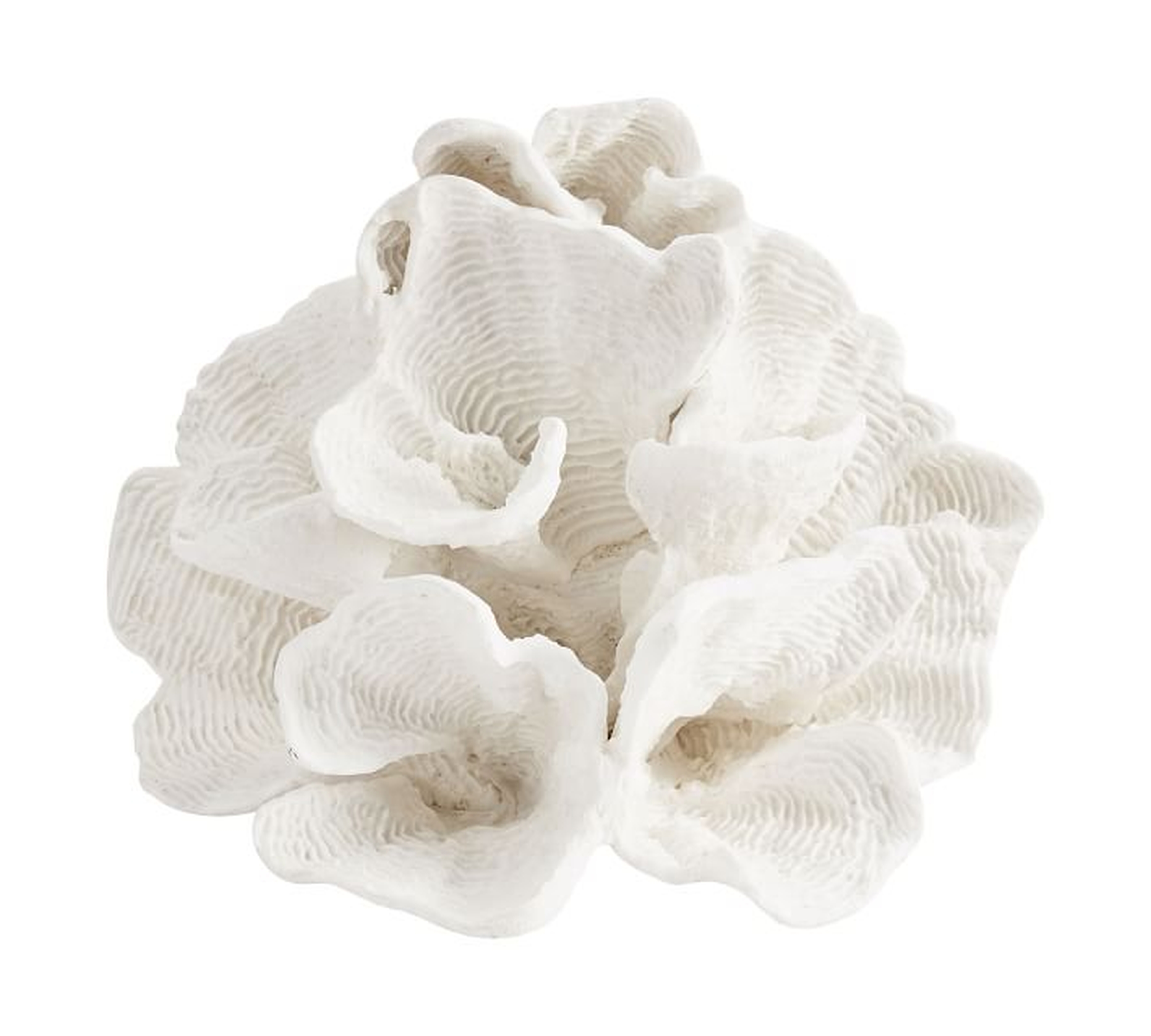 White Wave Coral - Pottery Barn