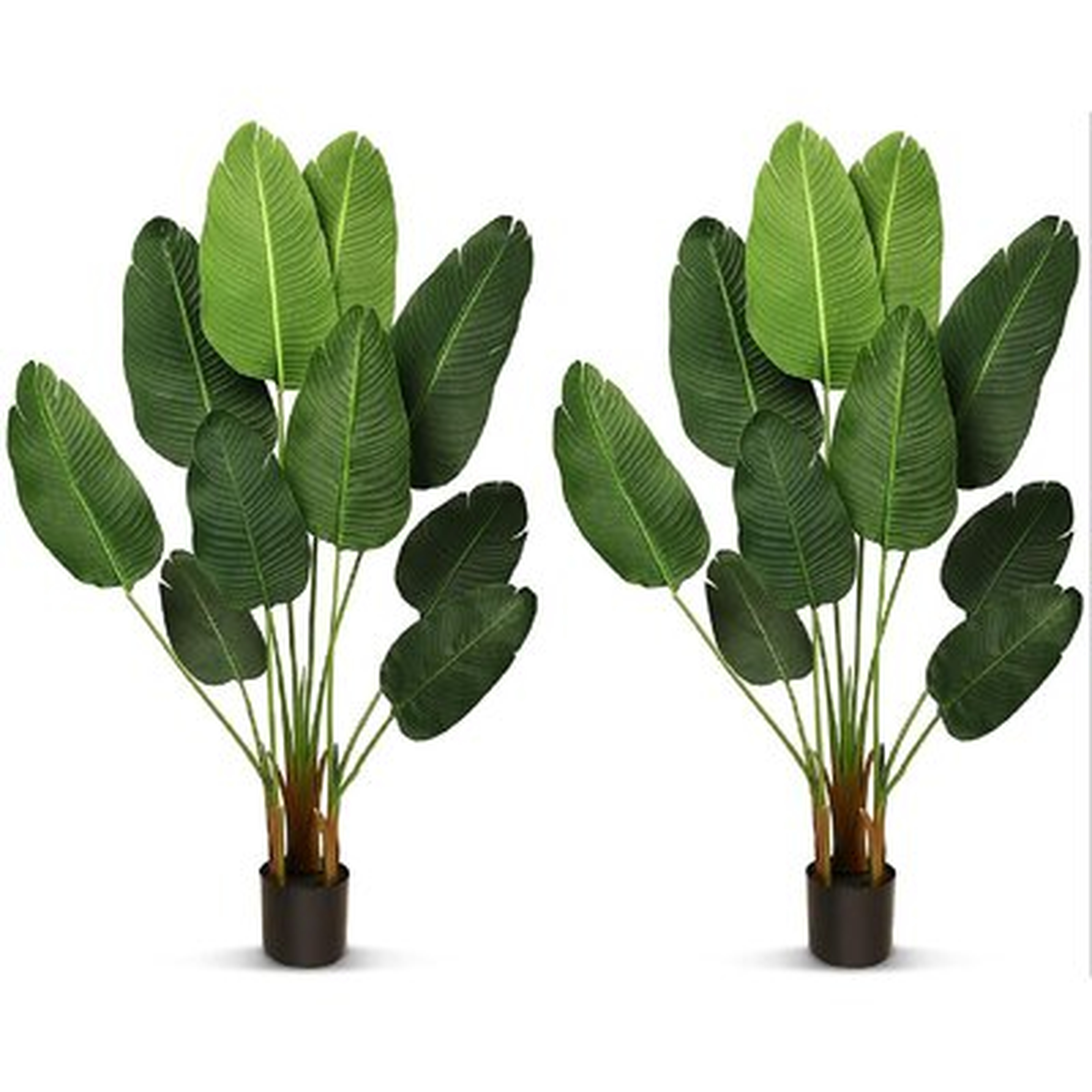 Faux Potted Bird Of Paradise, Set of 2 - Wayfair