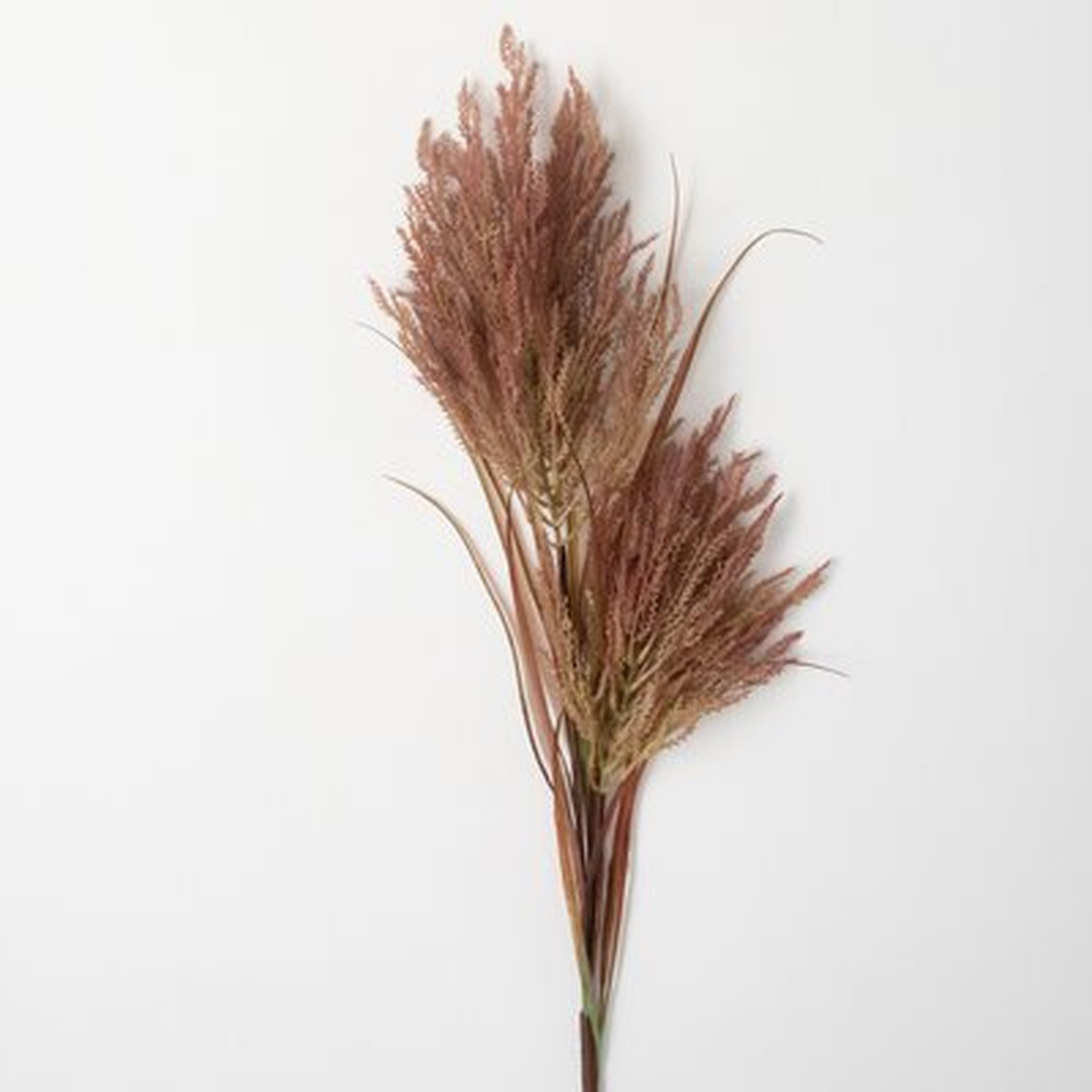 Madie Reed Stems - AllModern