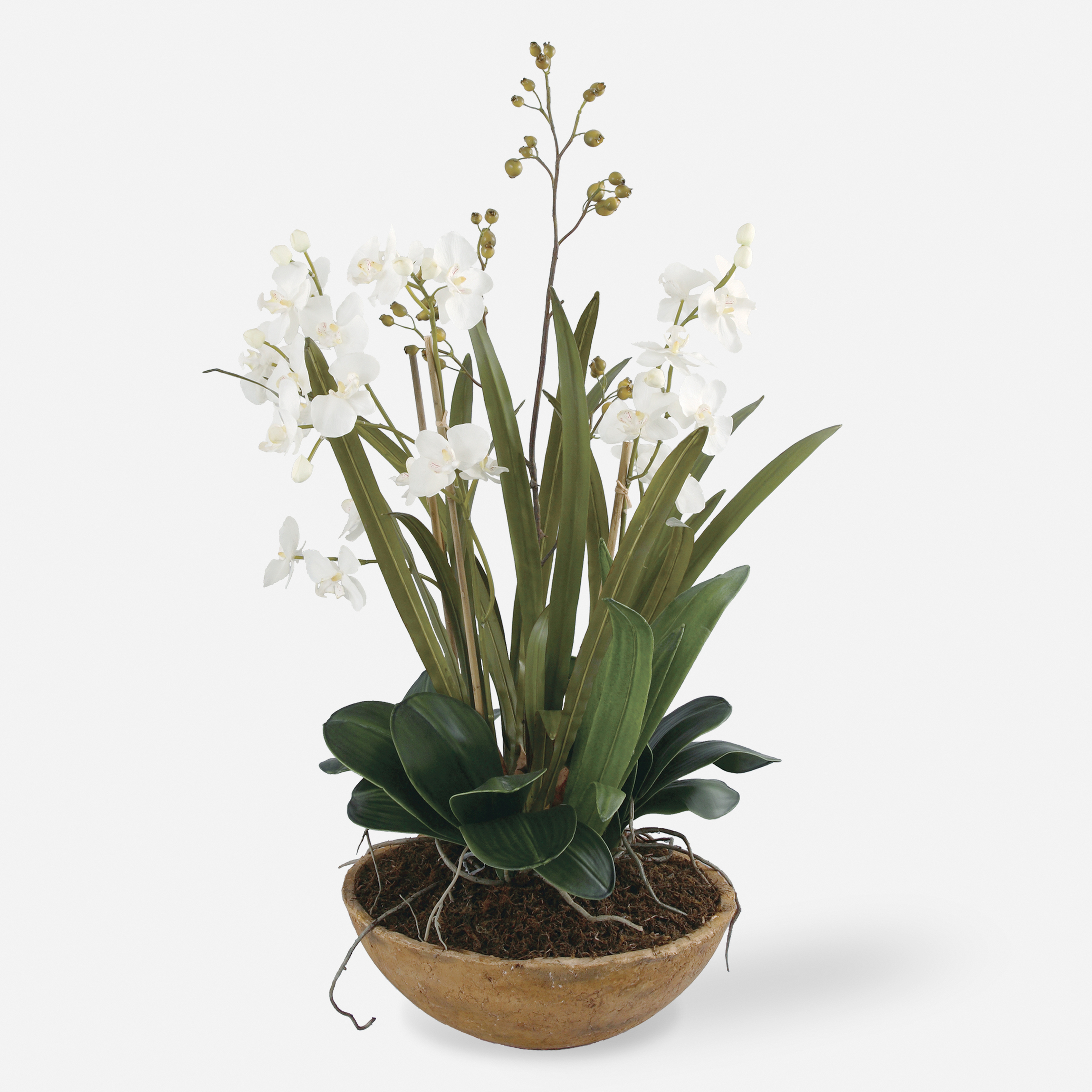 Moth Orchid Planter - Uttermost