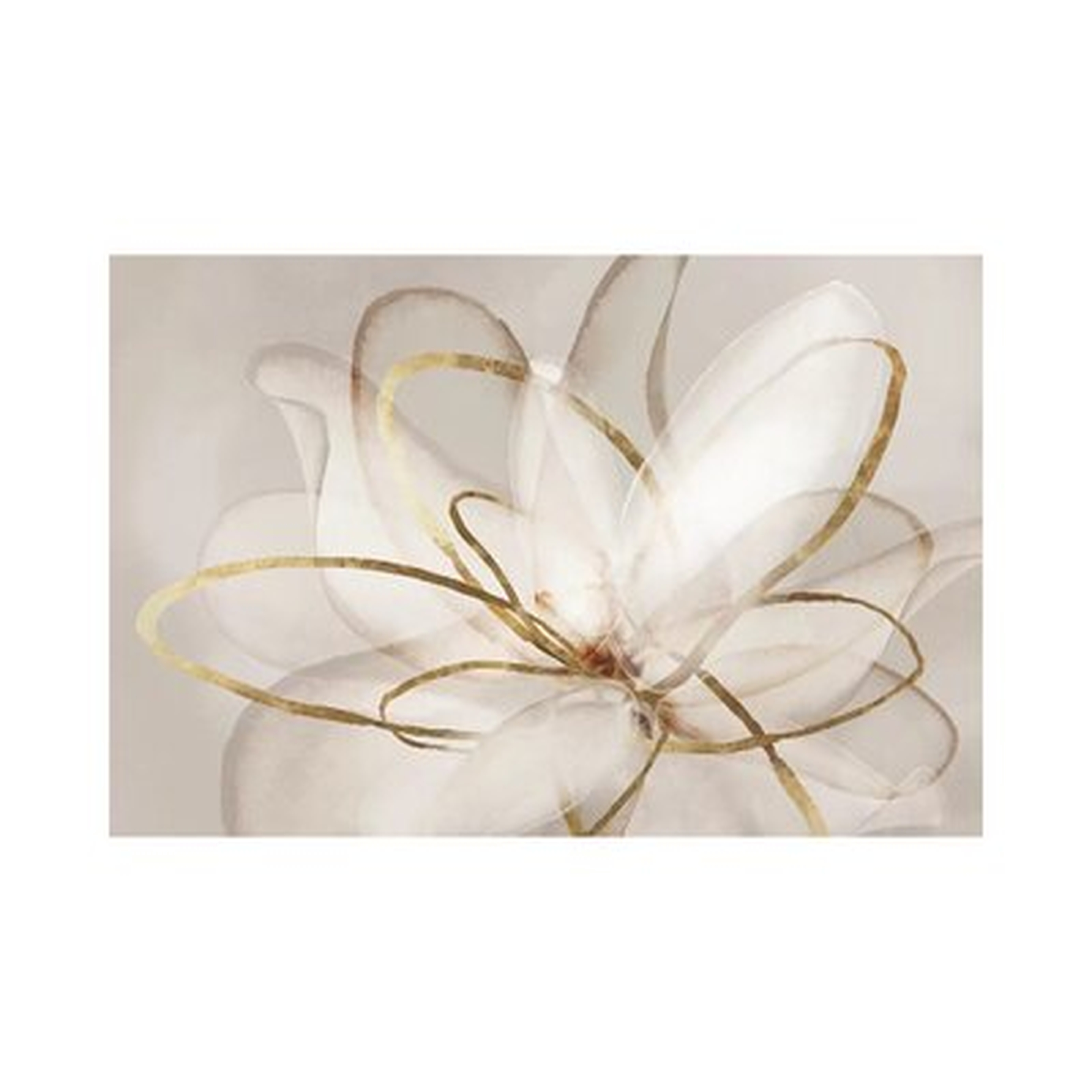 'Transparent Beauty III' - Print - Wayfair