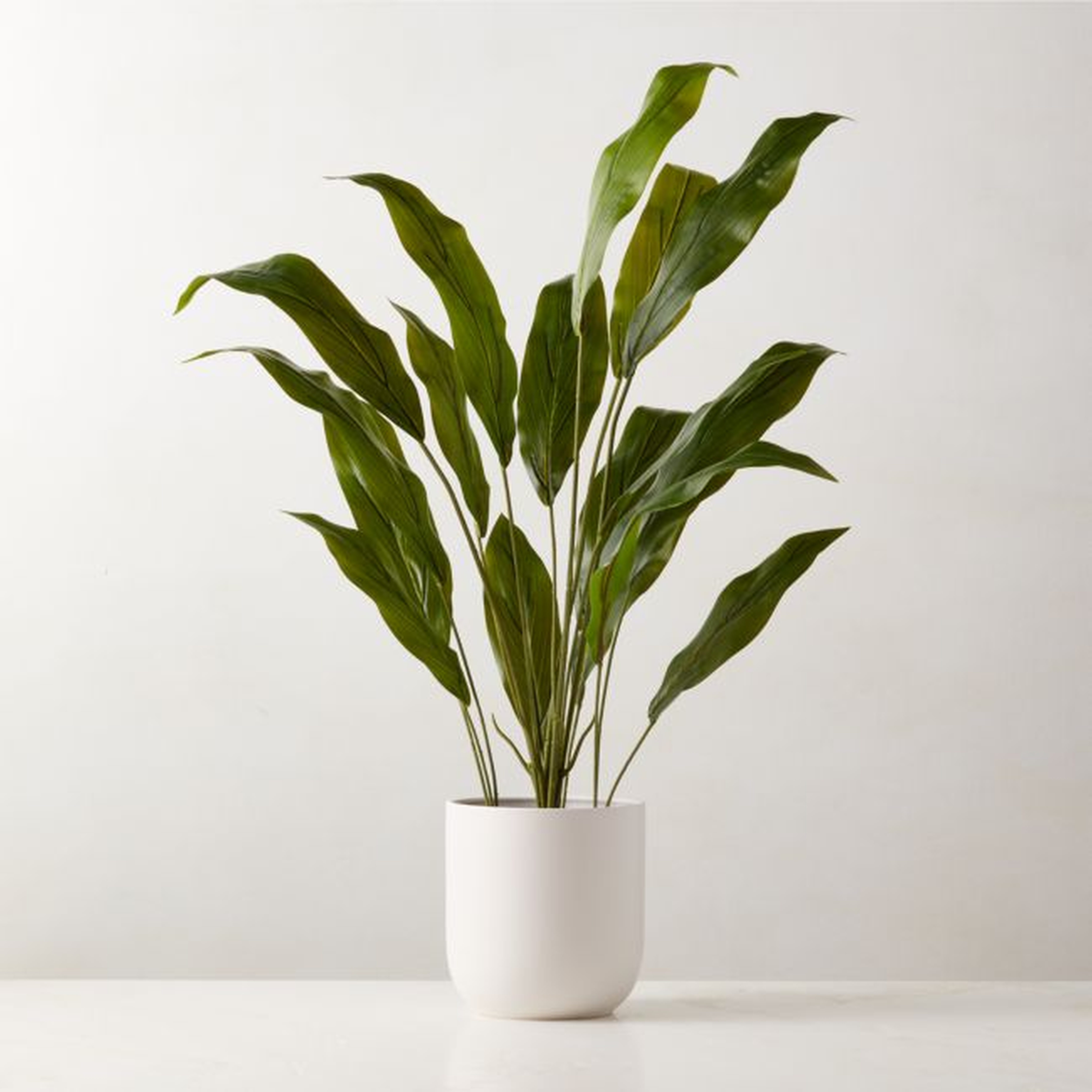 Faux Potted Iron Leaf Plant 35" - CB2