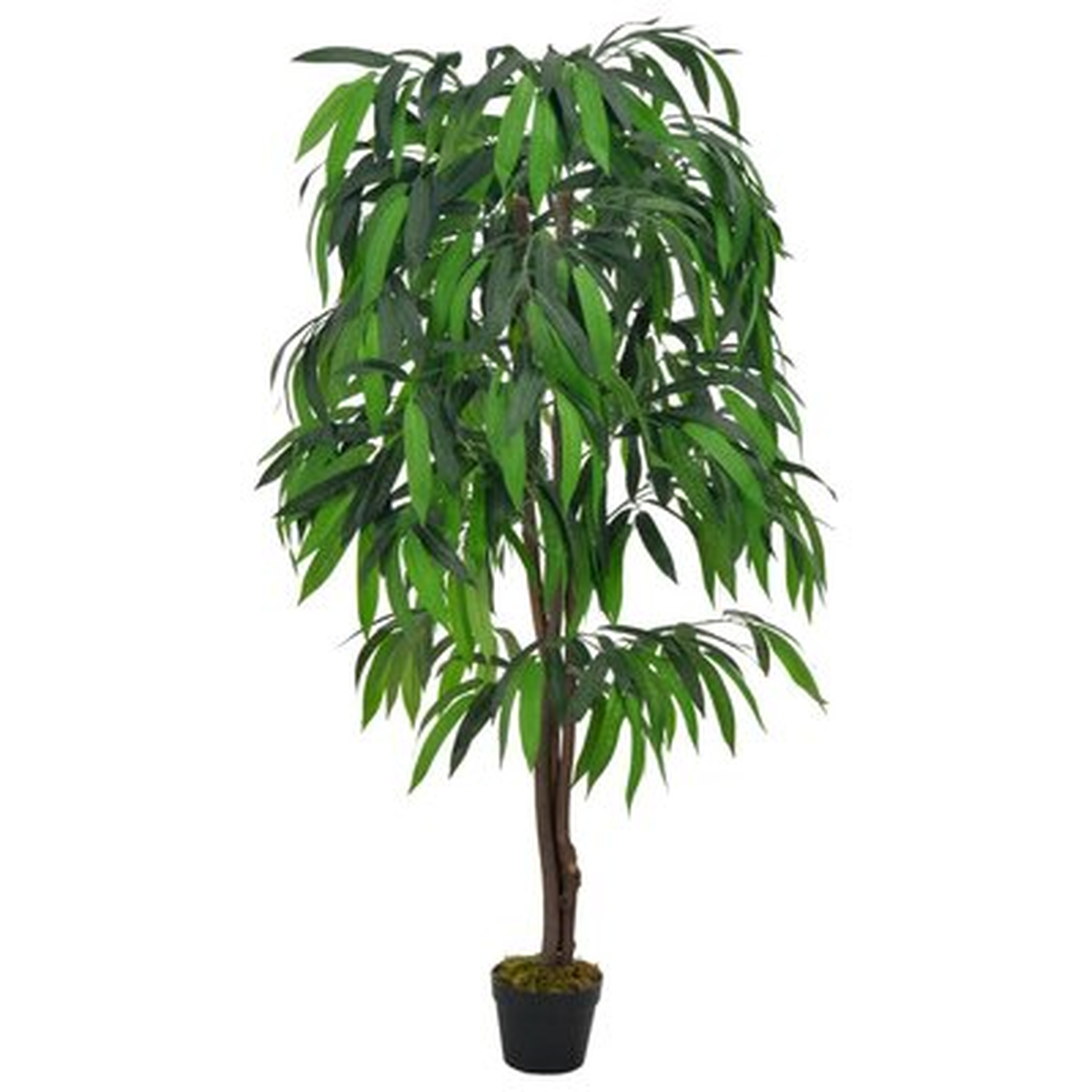 55.16'' Artificial Mango Tree in Pot - Wayfair