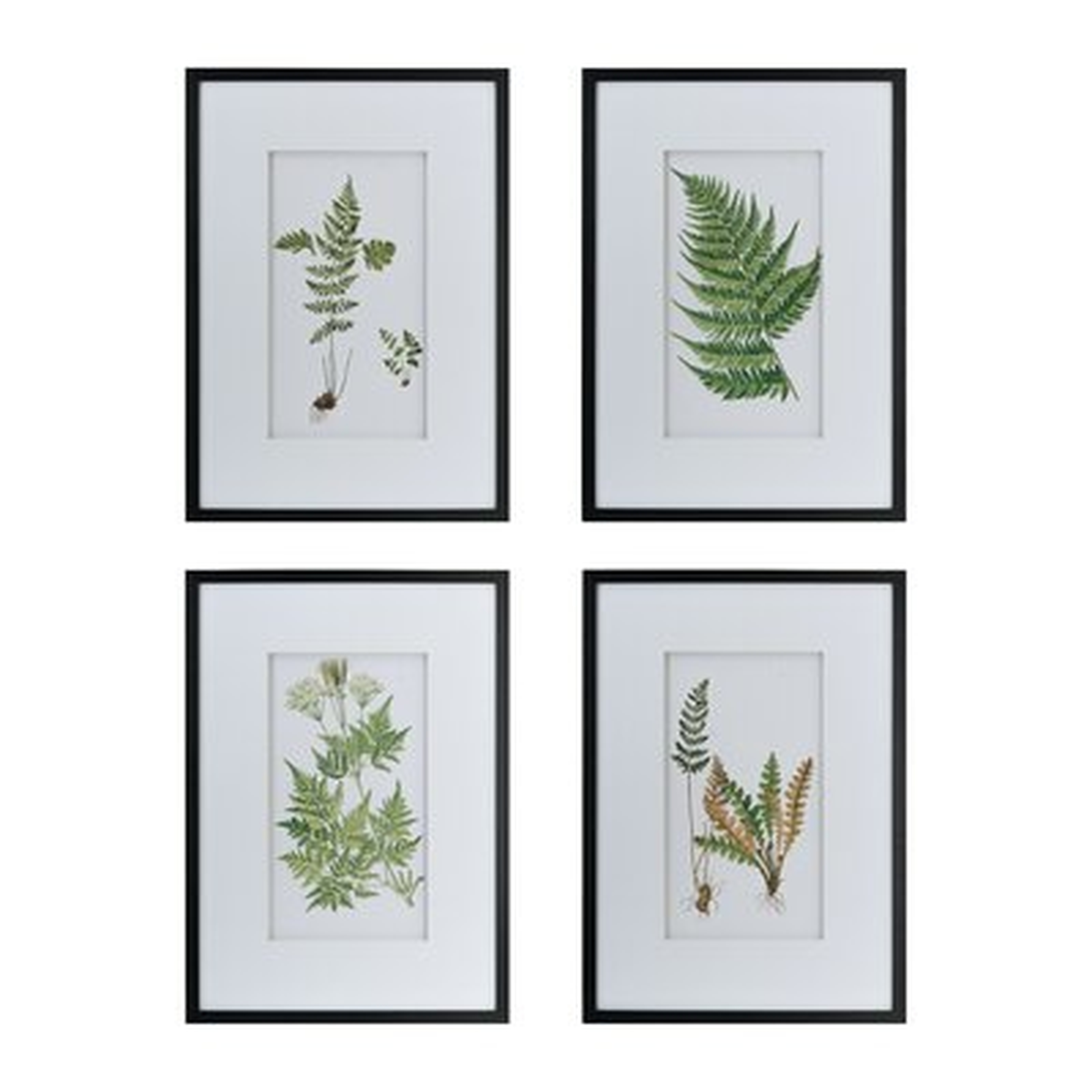 4 Piece Picture Frame Print on Paper - Wayfair