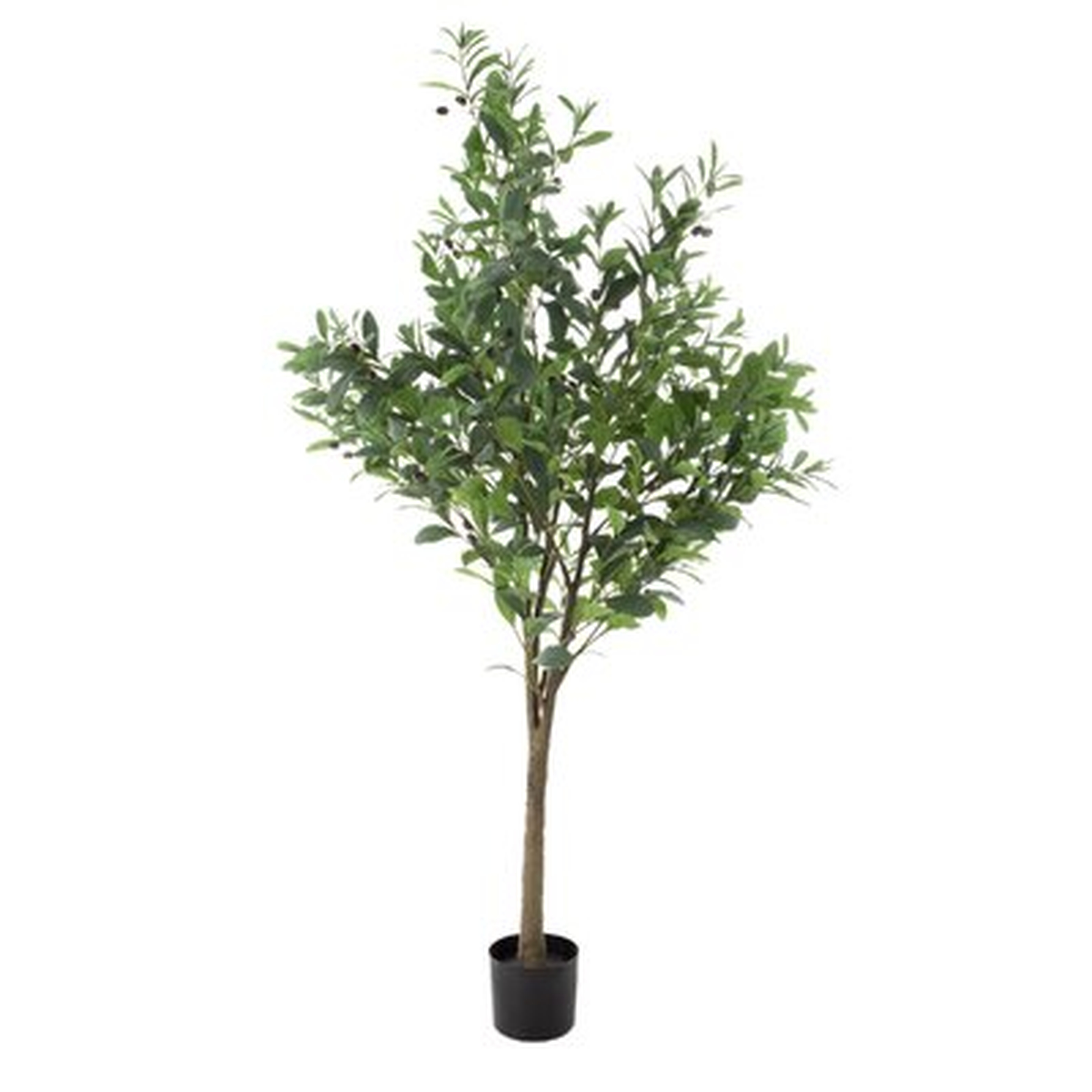 72" Artificial Olive Tree in Pot - Wayfair