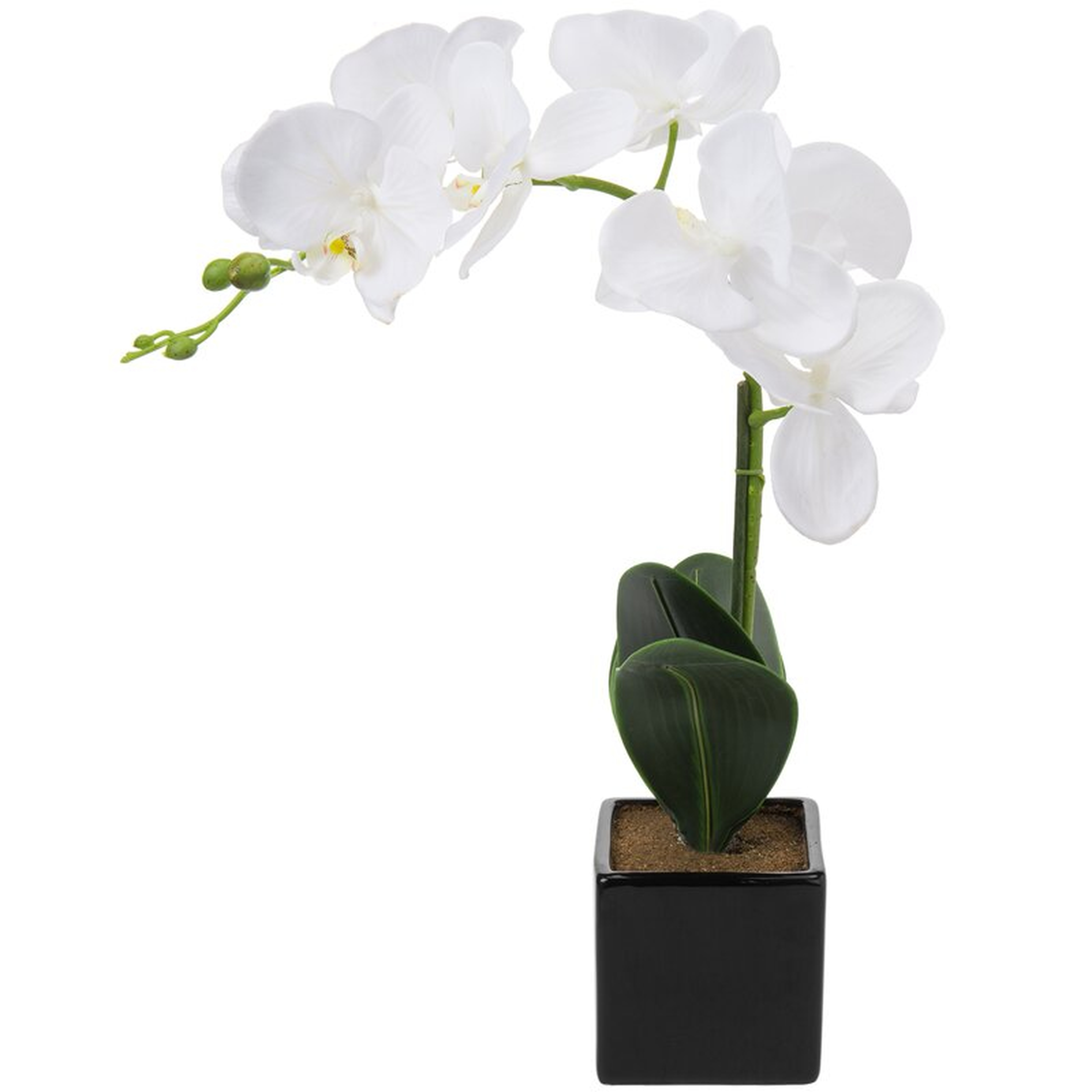 Artificial Orchid Tree in Planter - Wayfair