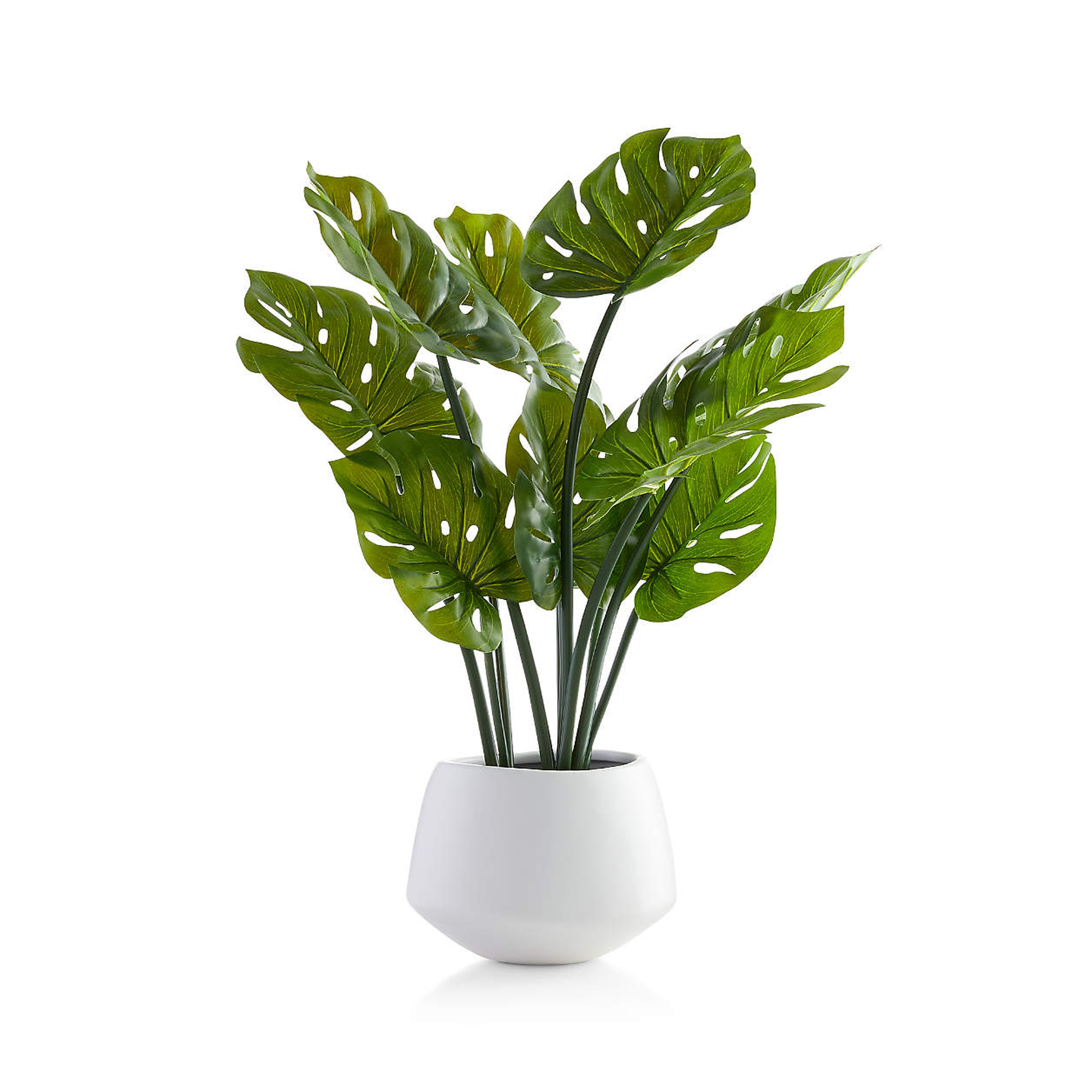Faux Potted Monstera - Crate and Barrel